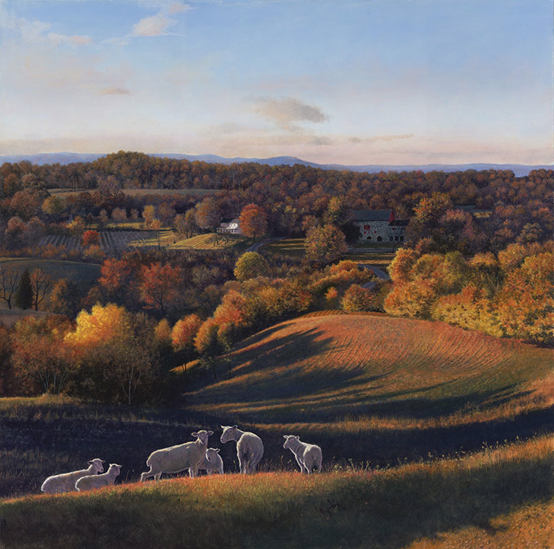 Stroud Preserve by Timothy Barr