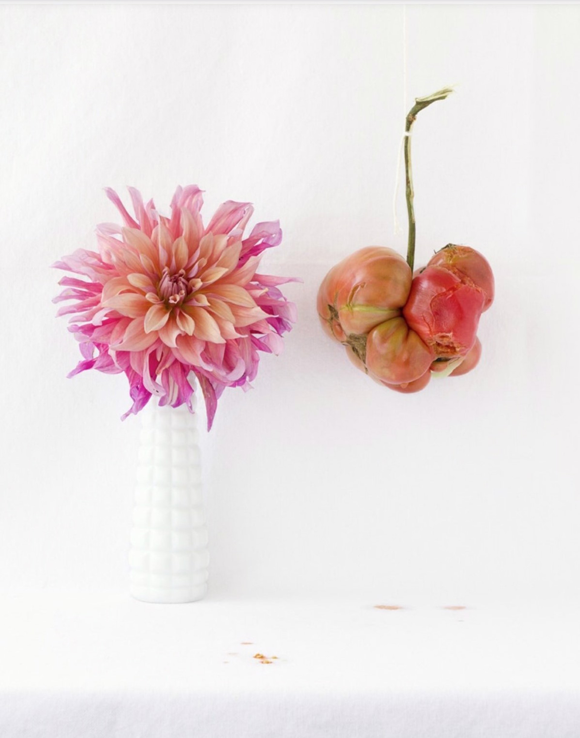 Still Life with Tomato and Dahlia by Kimberly Witham