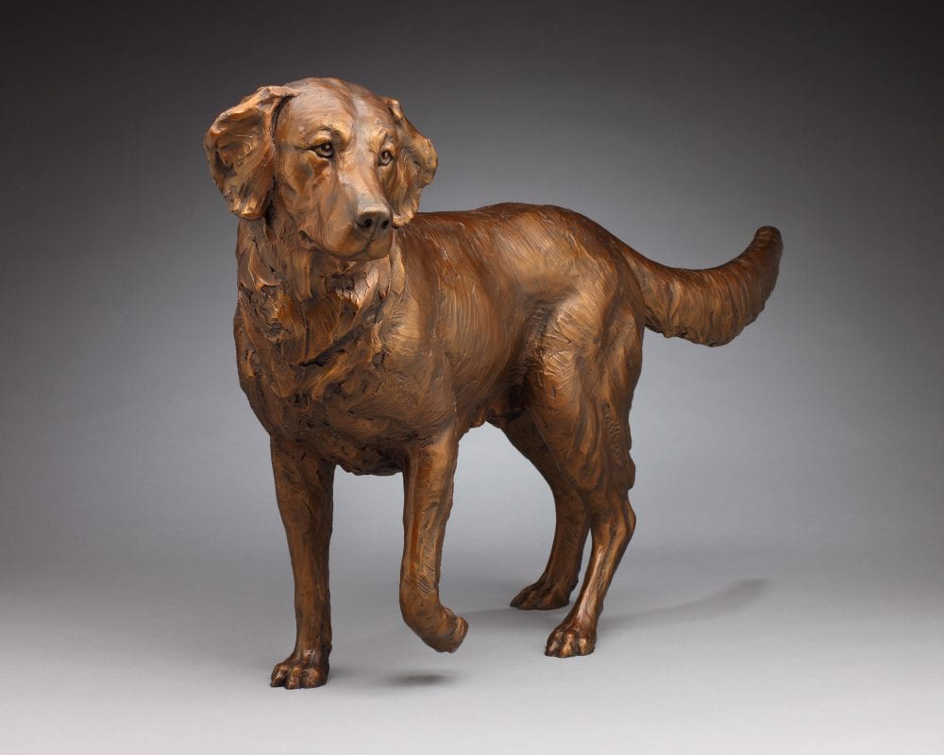 Up and Coming Golden Retriever (ed.of 30) by Daniel Glanz (sculptor)