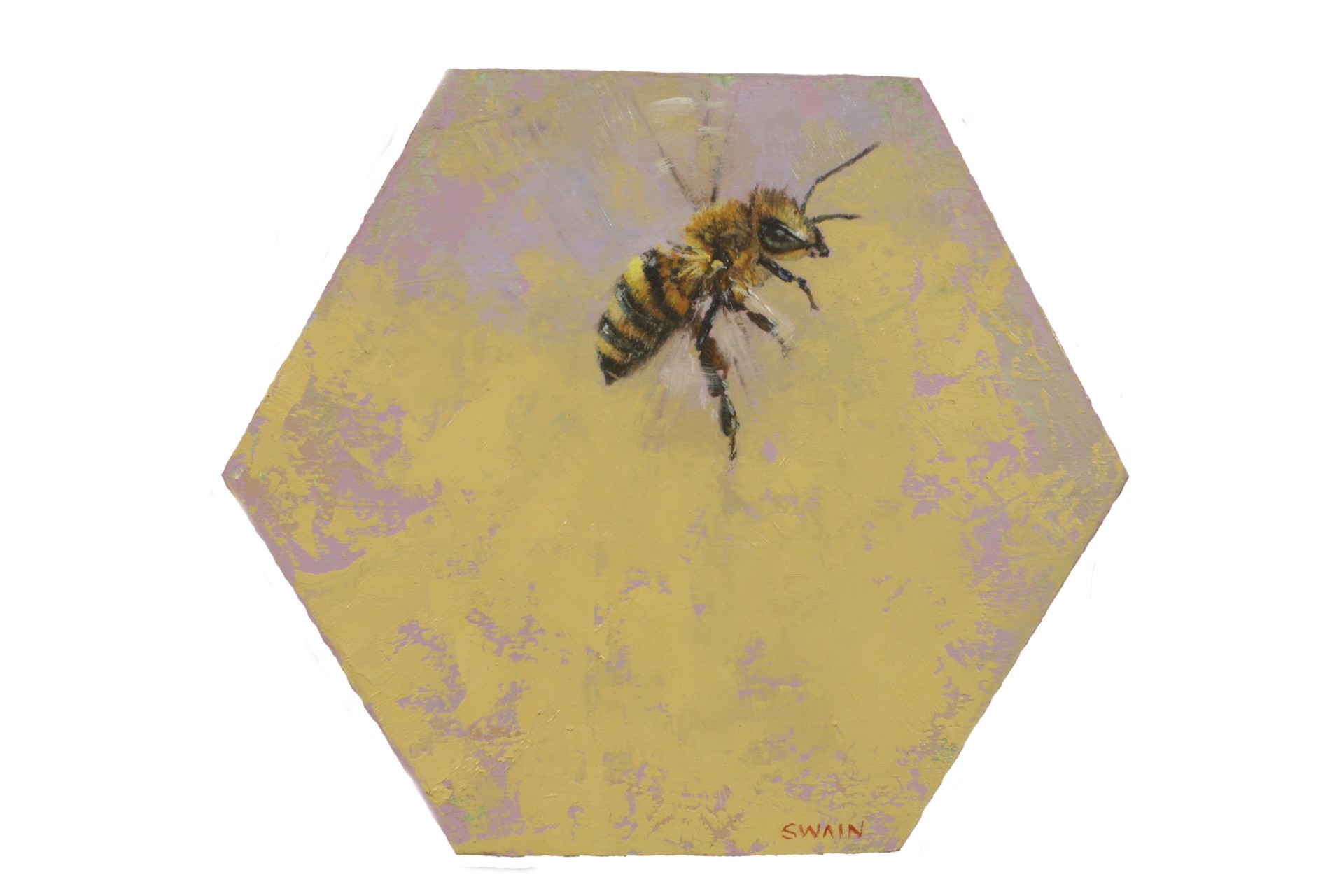 Bee 2 by Tyler Swain