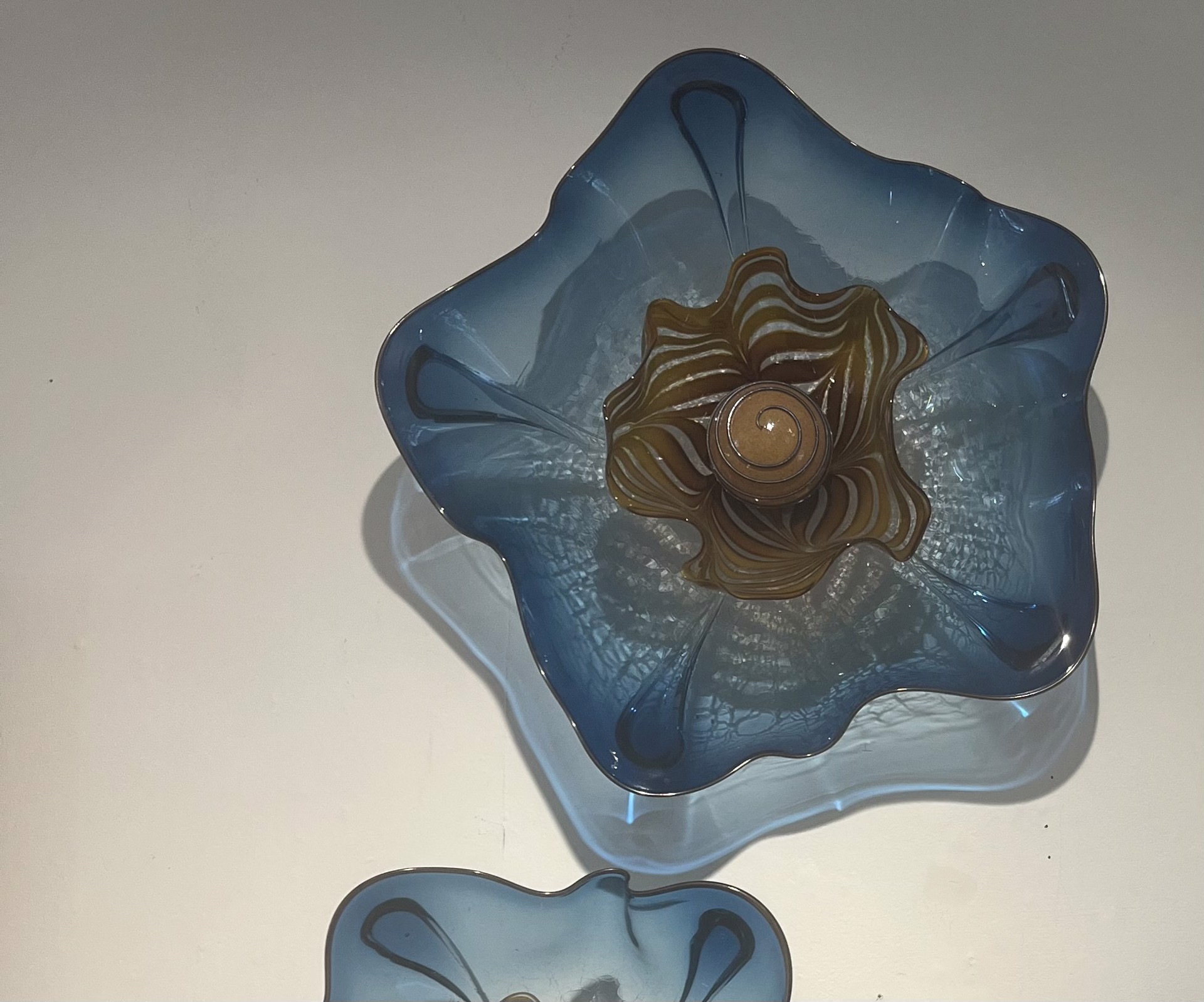 Wall Flower PACIFIC BLUE AMBER by Andrew Madvin