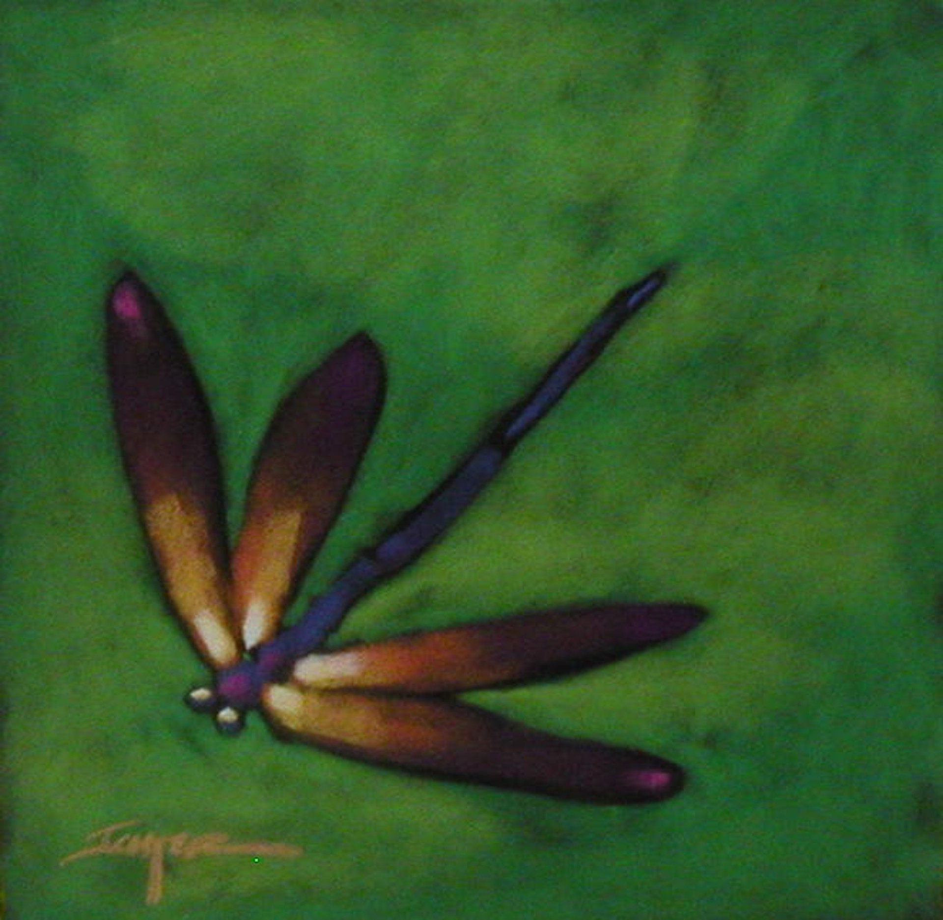 Dragonfly by Robert Ichter