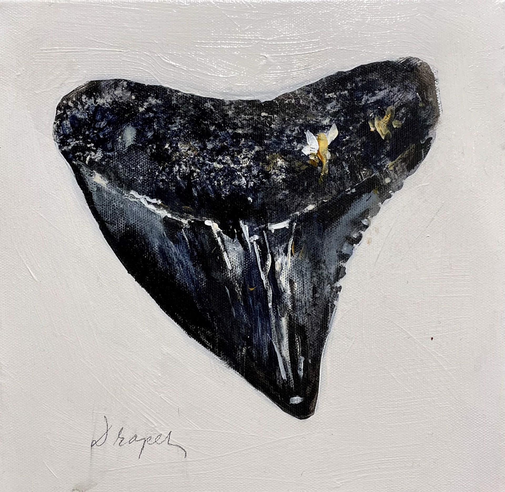 Shark Tooth no. 18 by Jim Draper