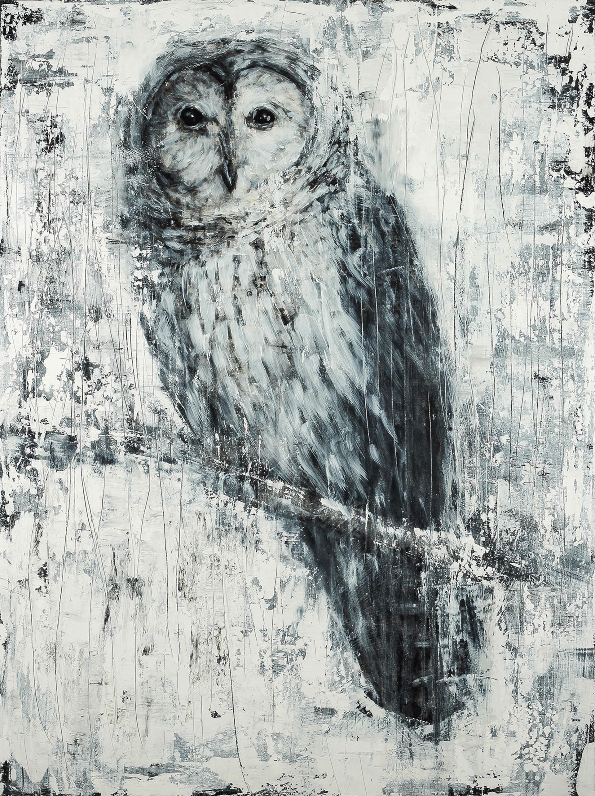 Original Painting Of A Perched Owl In Black And White With Texture, By Matt Flint, Available At Gallery Wild 