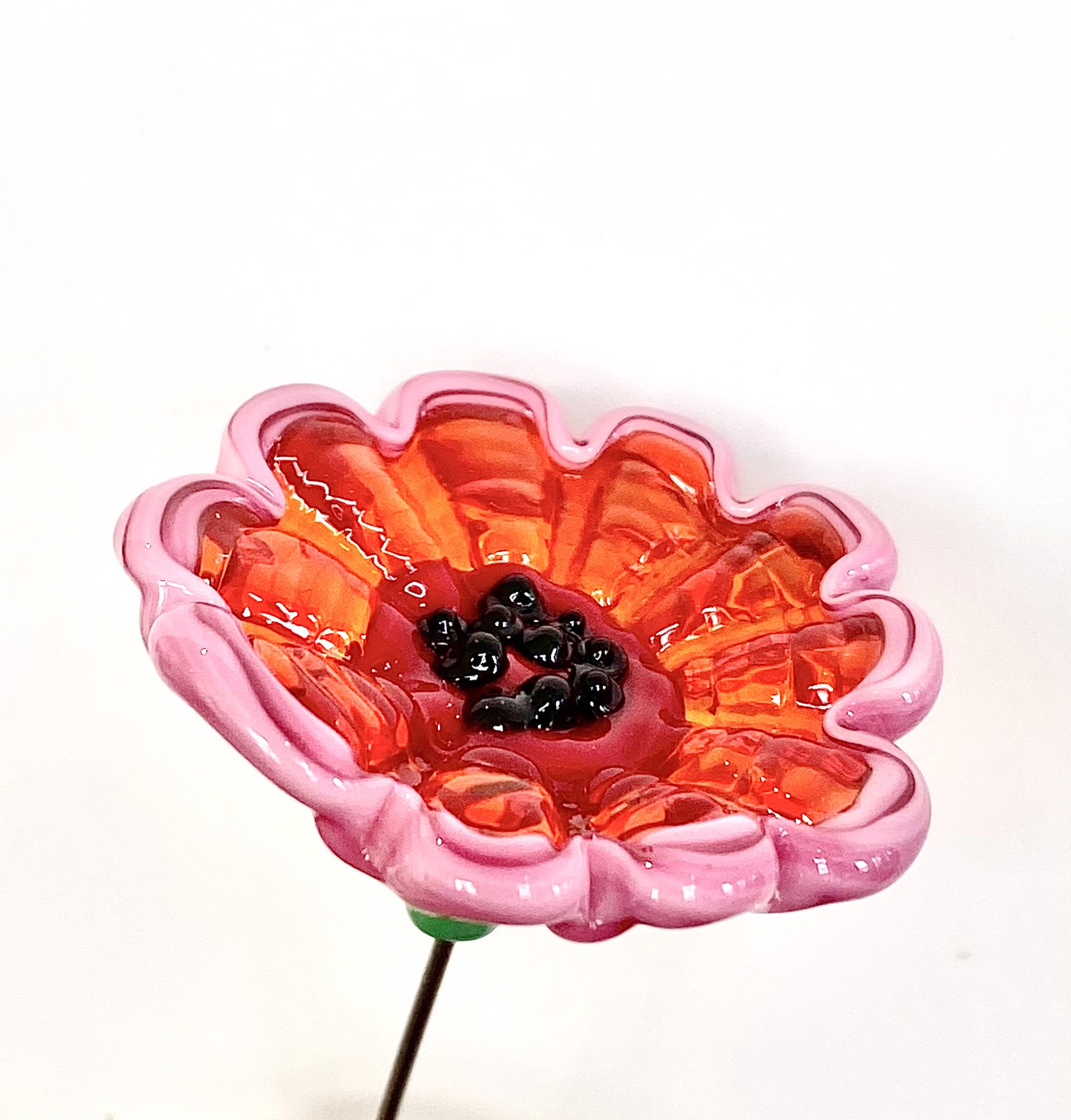 Glass Poppy Flower by Emelie Hebert
