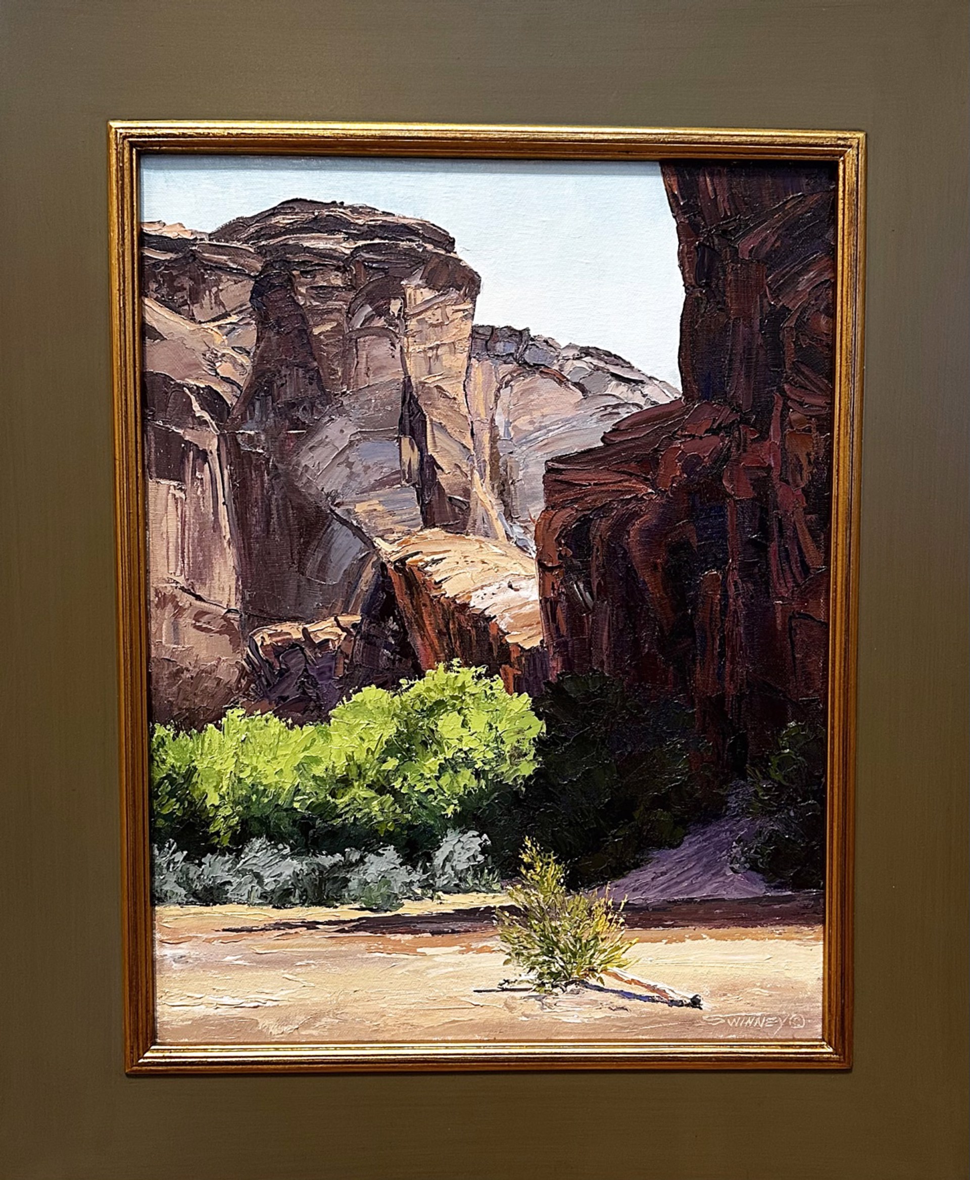 Colors of the Canyon by Carol Swinney