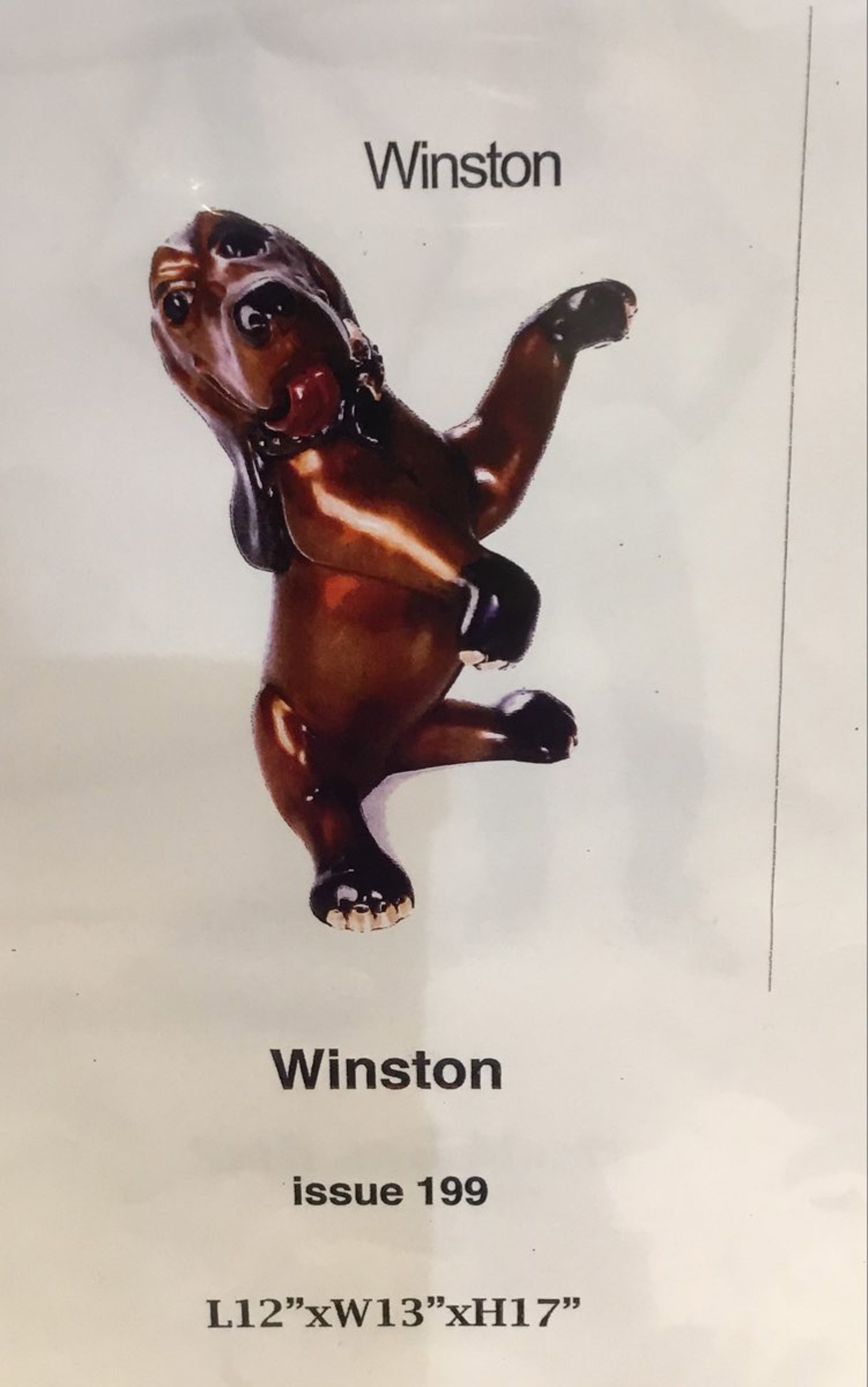 Winston by Marty Goldstein