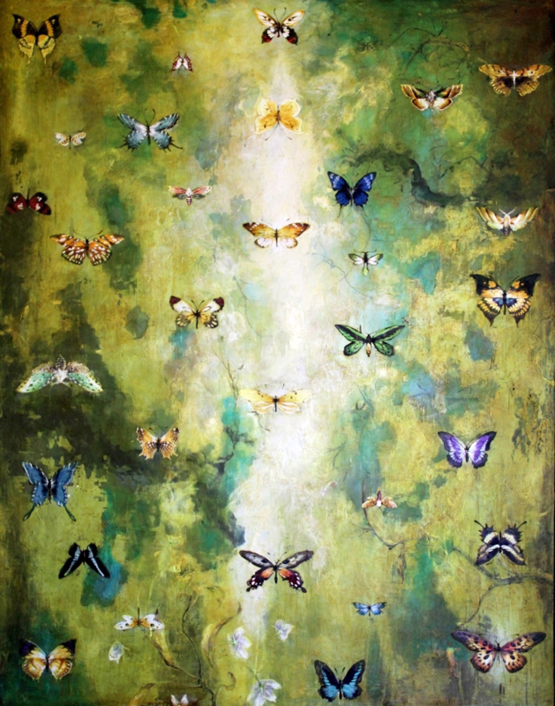 The Butterfly Sutra by Chris Reilly
