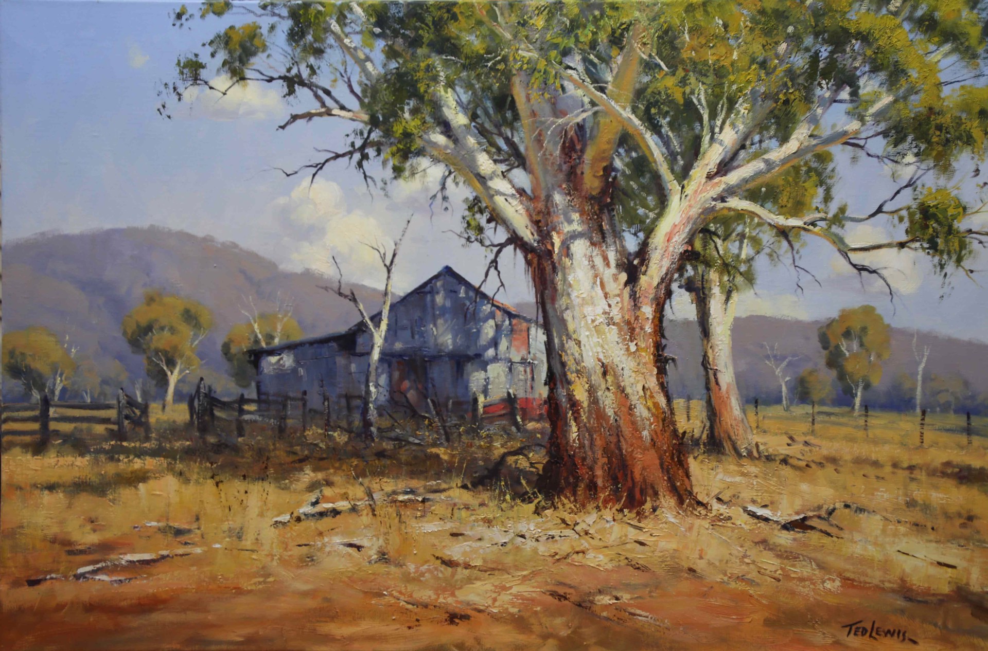 Inspecting the Old Shed by Ted Lewis