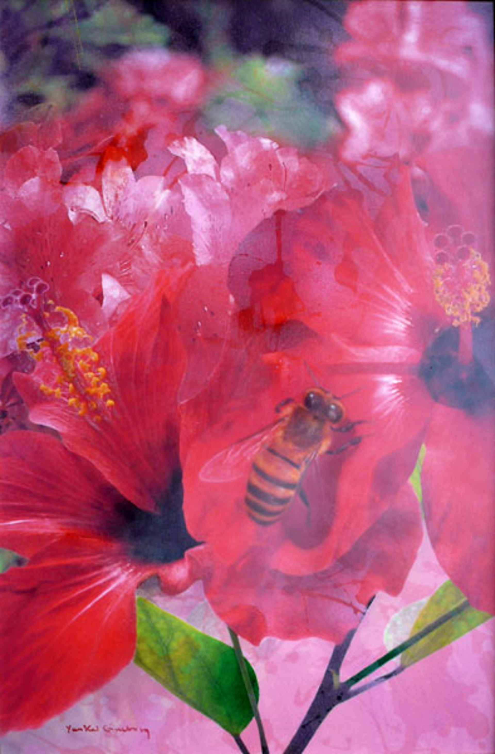 Hibiscus Lovers by Yankel Ginzburg