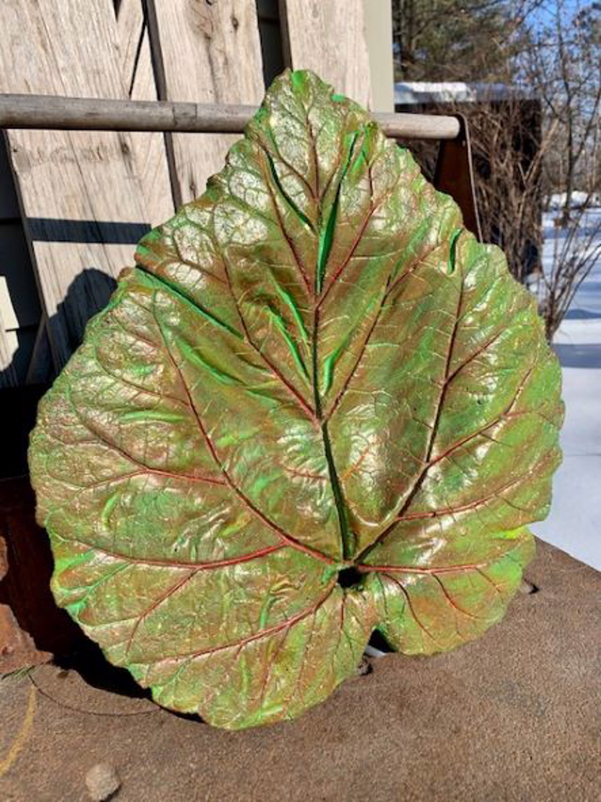 Rhubarb Leaf #6 by Pam O'Neall