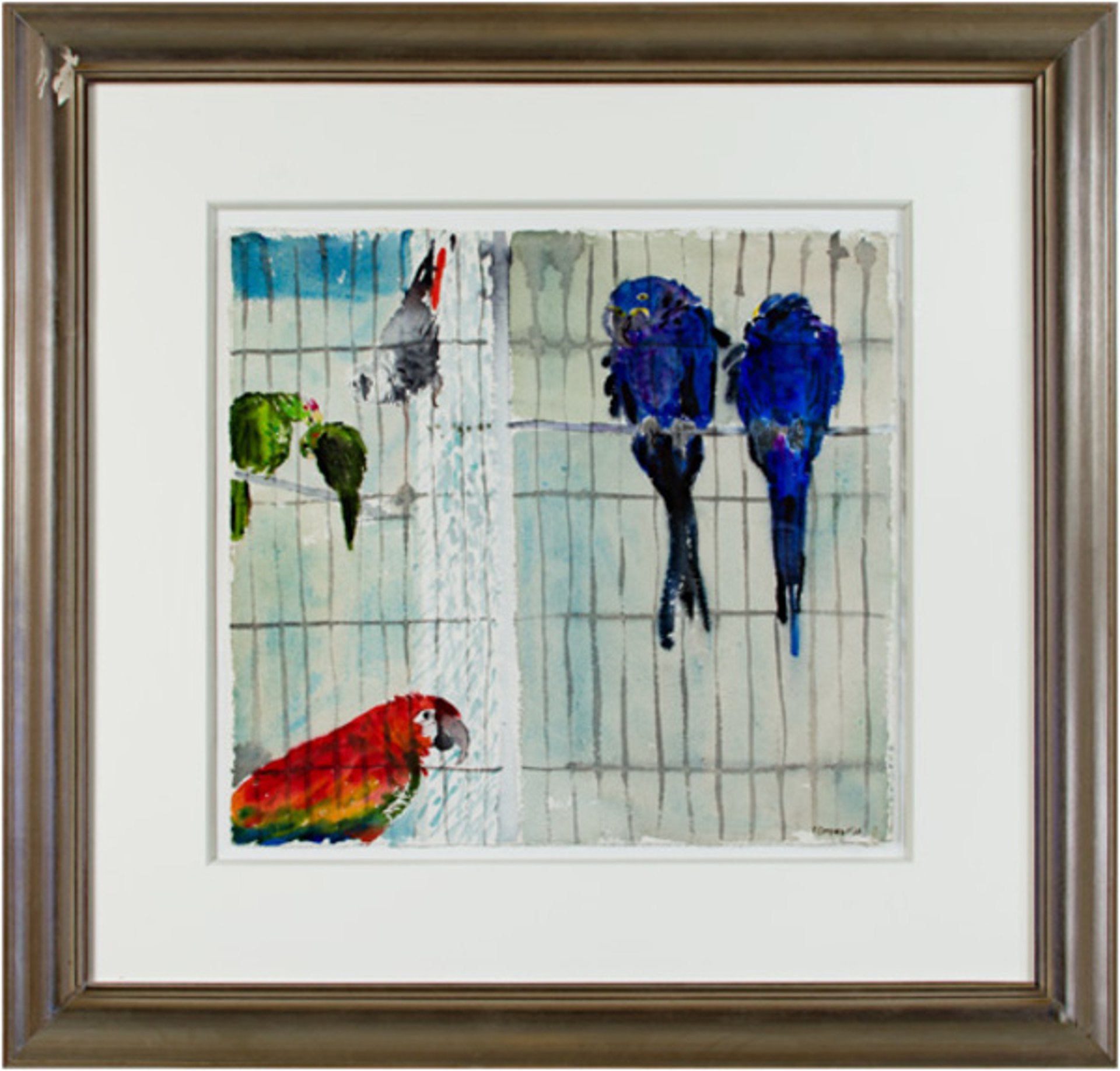 Parrots by Alicia Czechowski