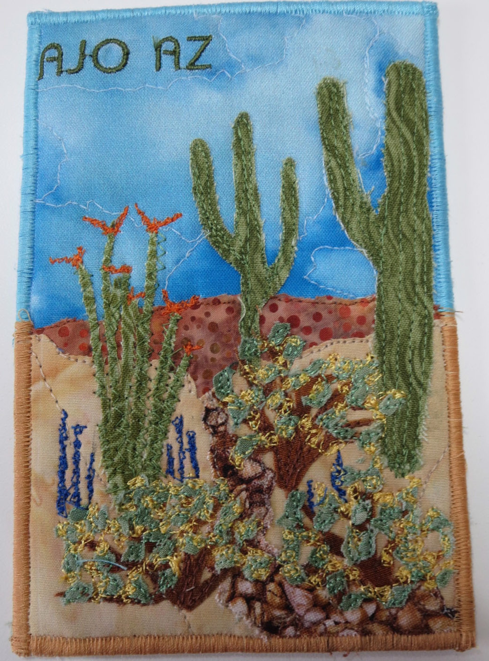 Sonoran Desert in Bloom 1 Postcard by Cheryl Langer