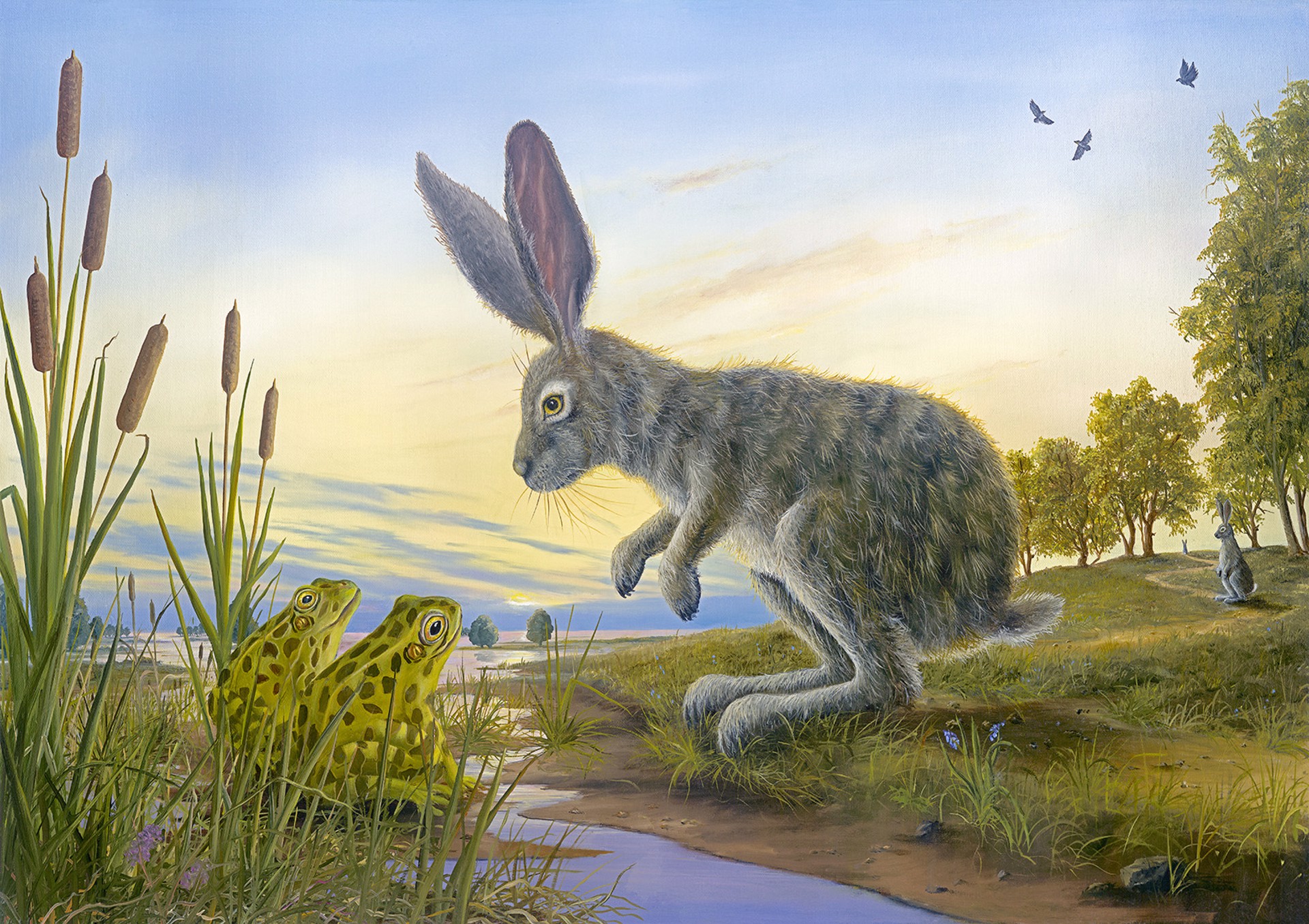 The Resolve by Robert Bissell