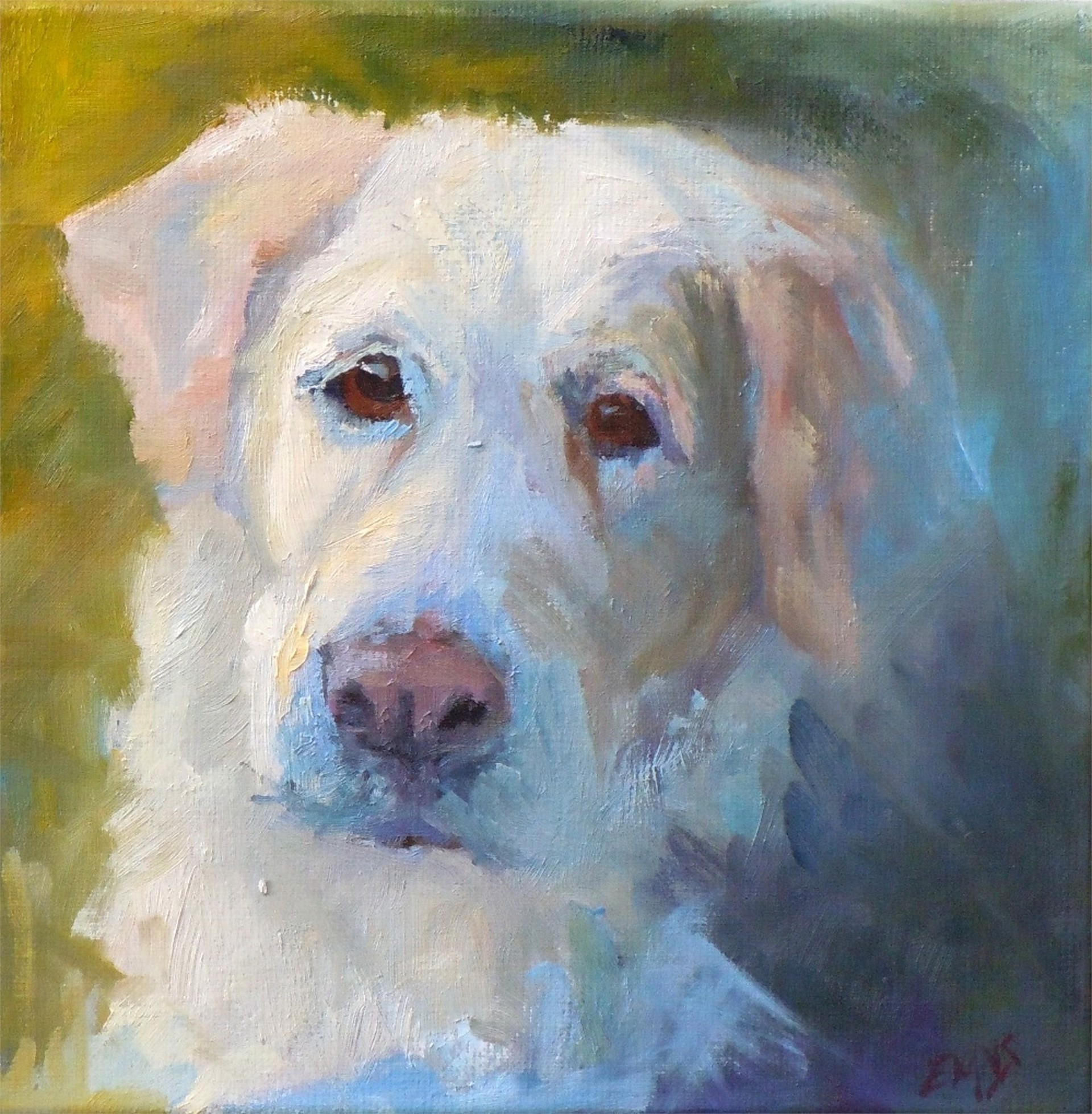 Dog Commission's by Amy Evans