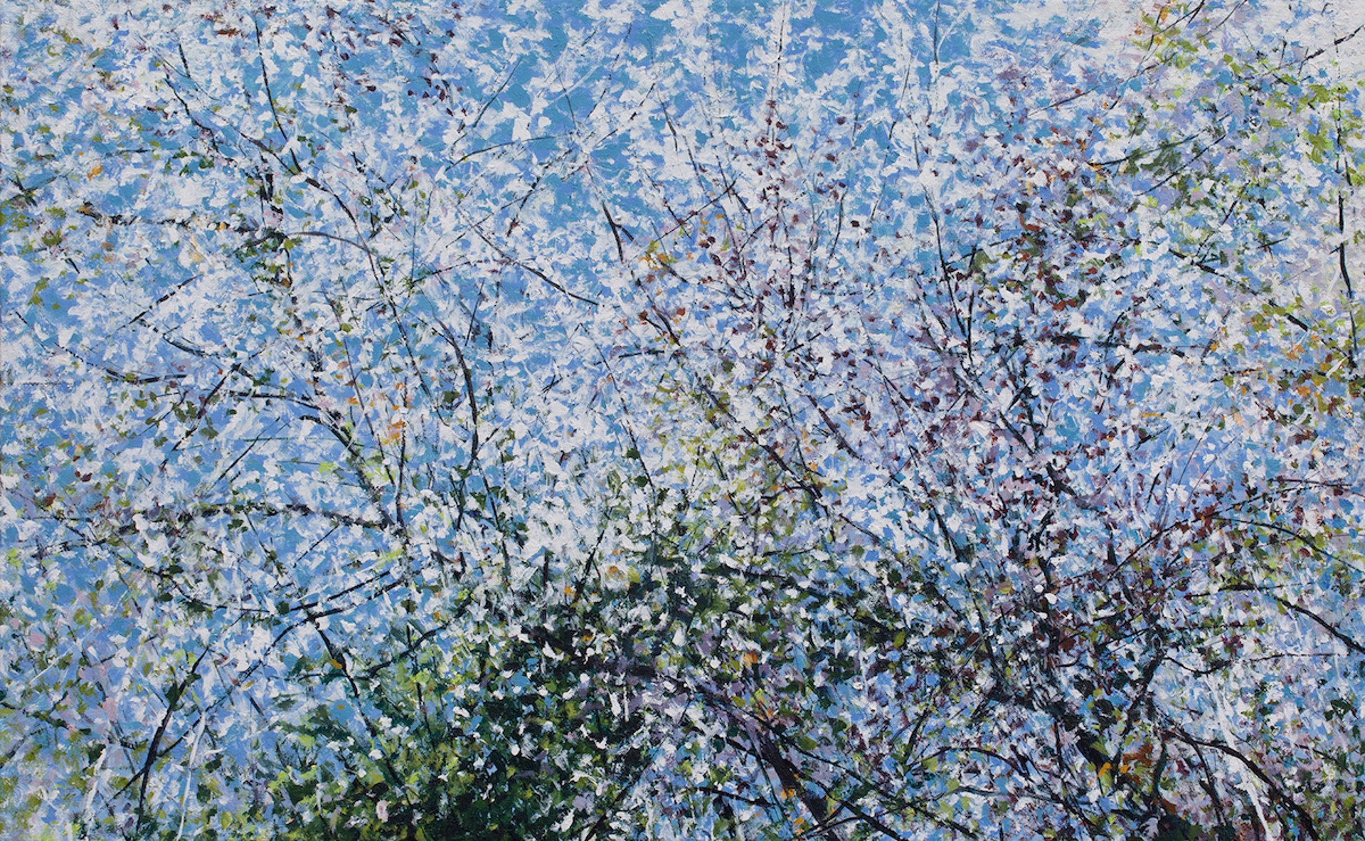 Blossom to Leaf by Angelita Surmon