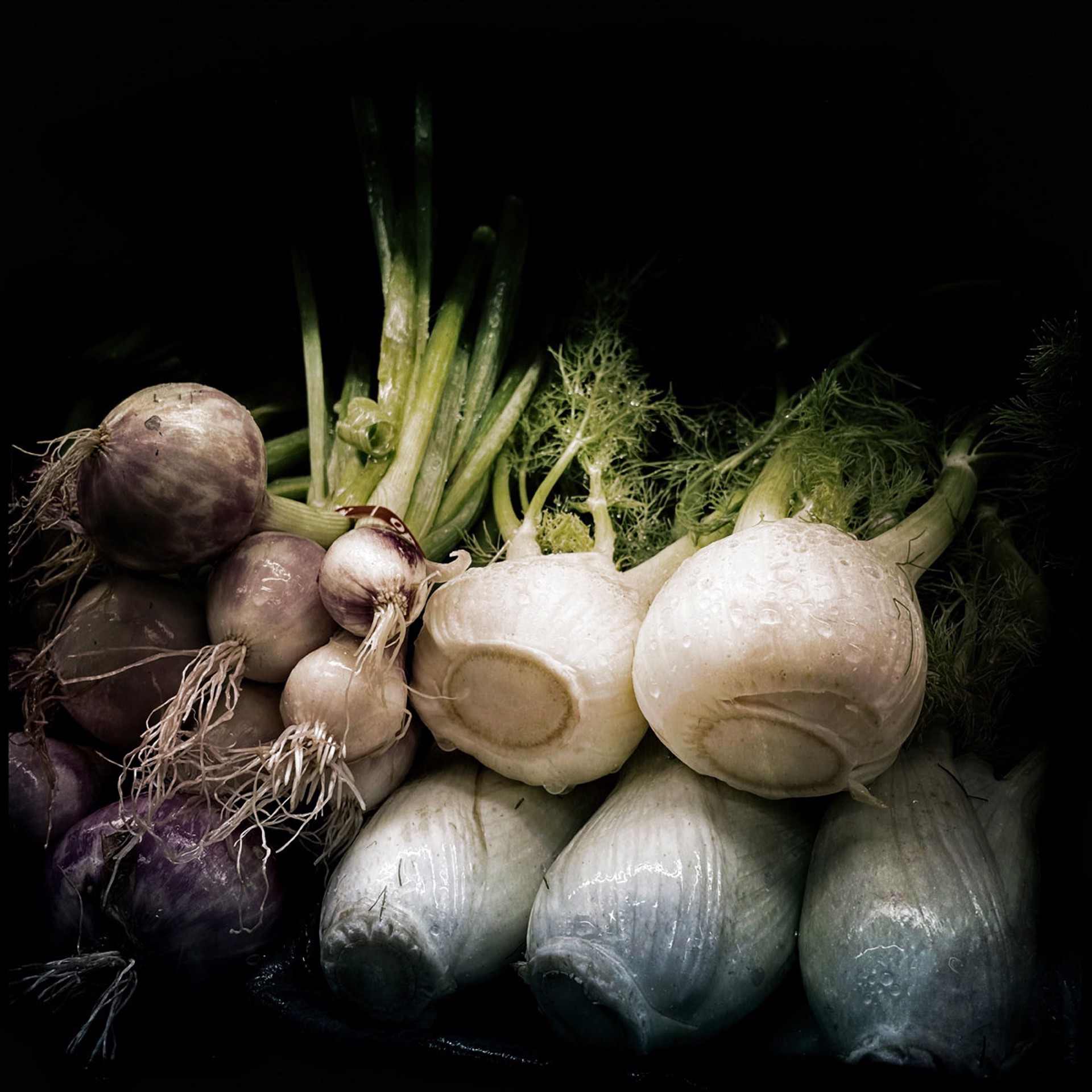 Fennel and Onions by Arlene Stanger
