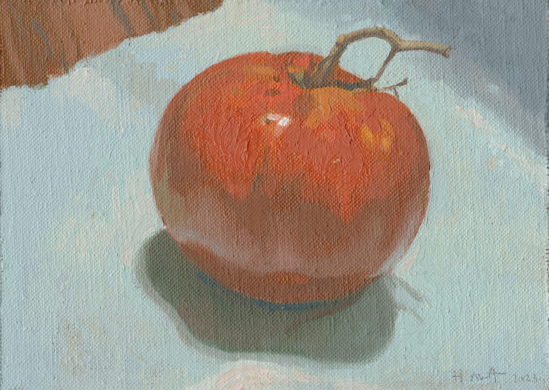 Tomato Study by Hector Acuna