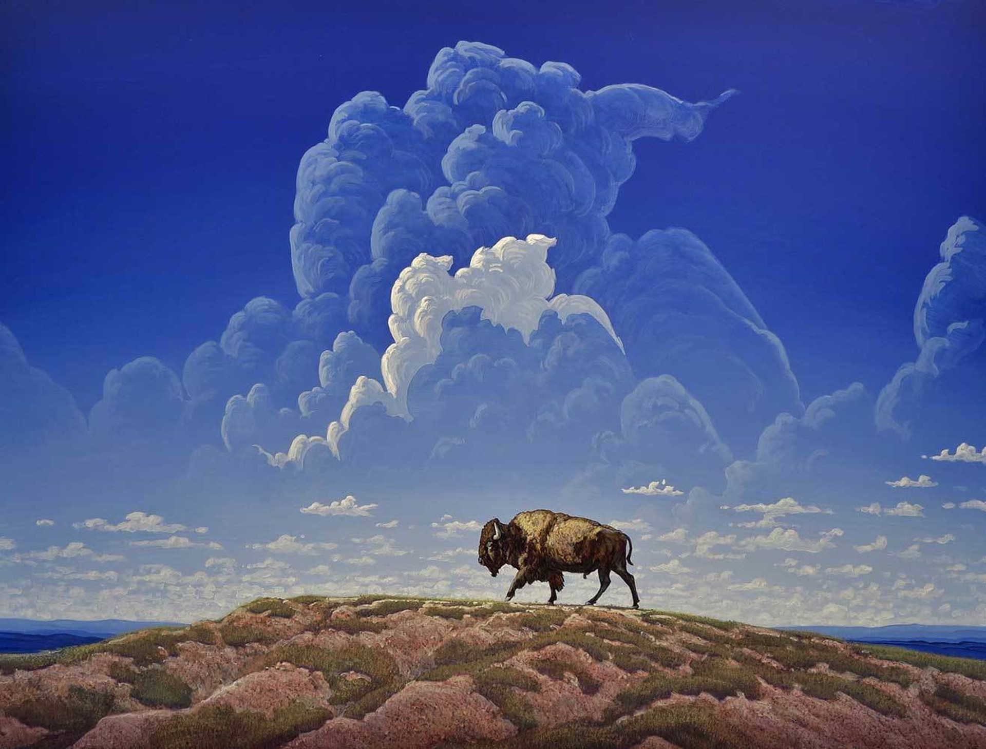 Buffalo with Billowing Clouds by Phil Epp
