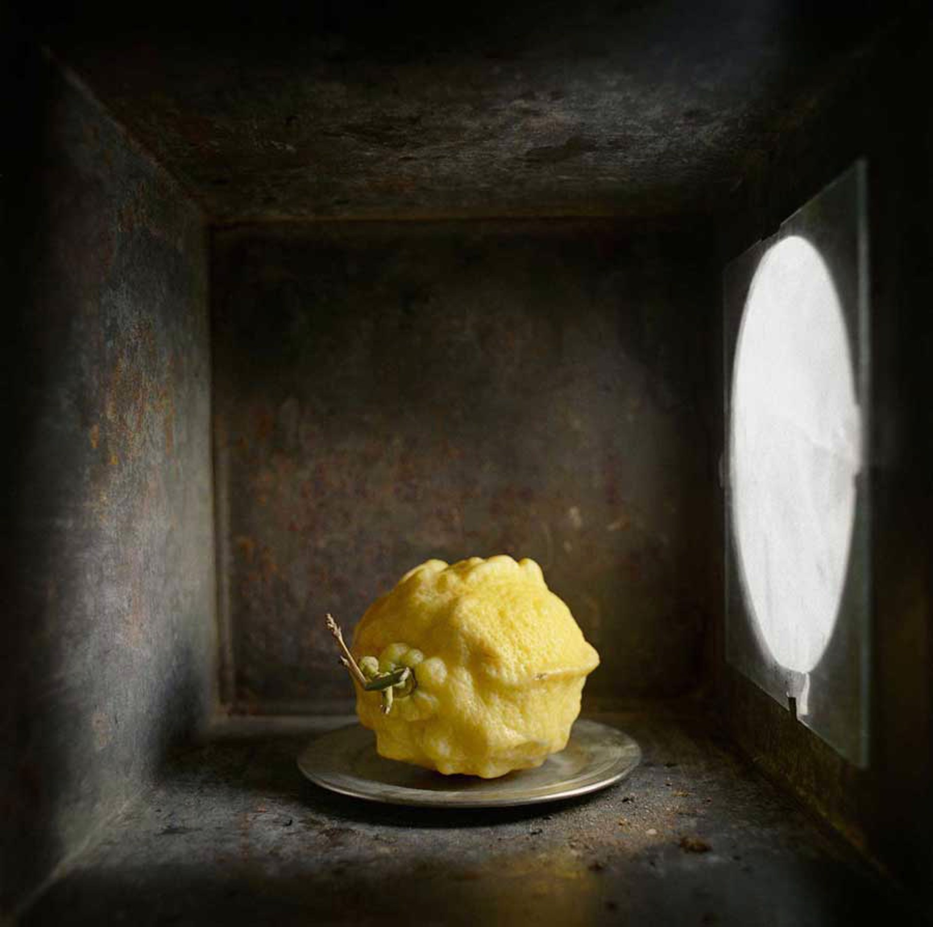 Lemon by David Halliday
