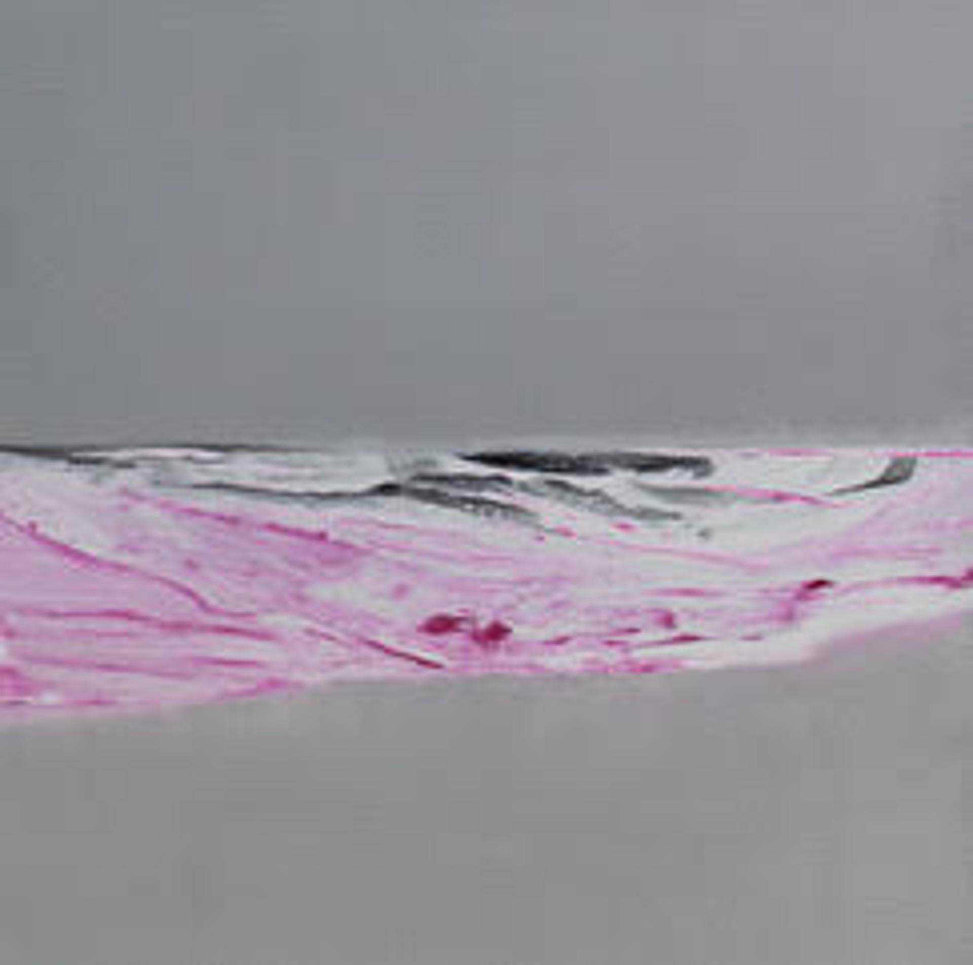 Pink Wave II by Martha McAleer