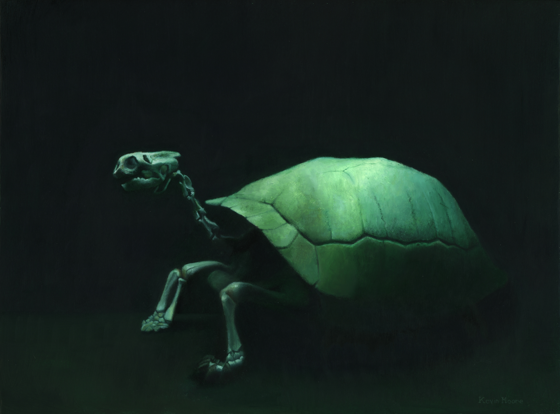 Lonesome George by Kevin A. Moore