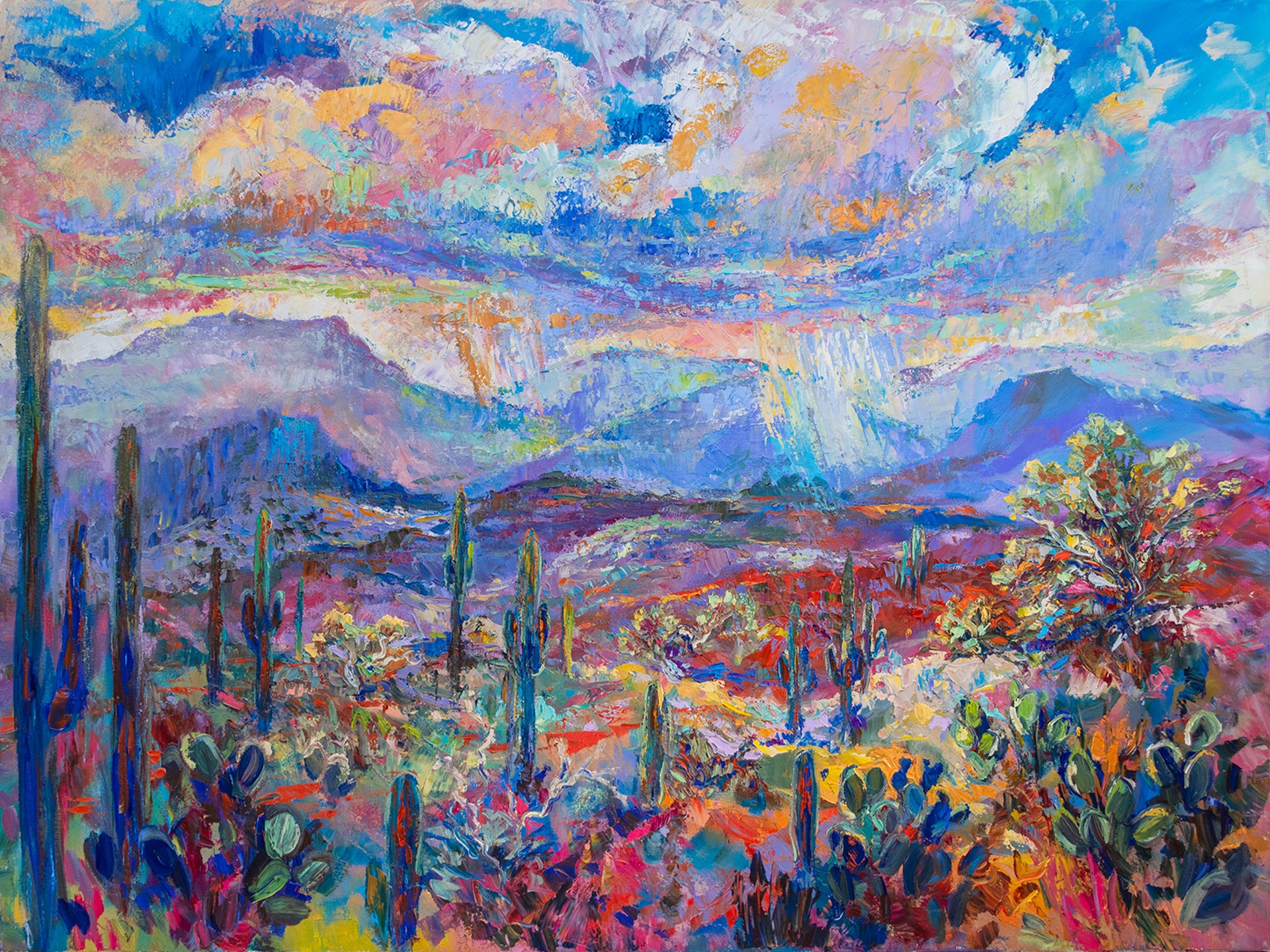 Monsoons in the Tonto by Barbara Meikle