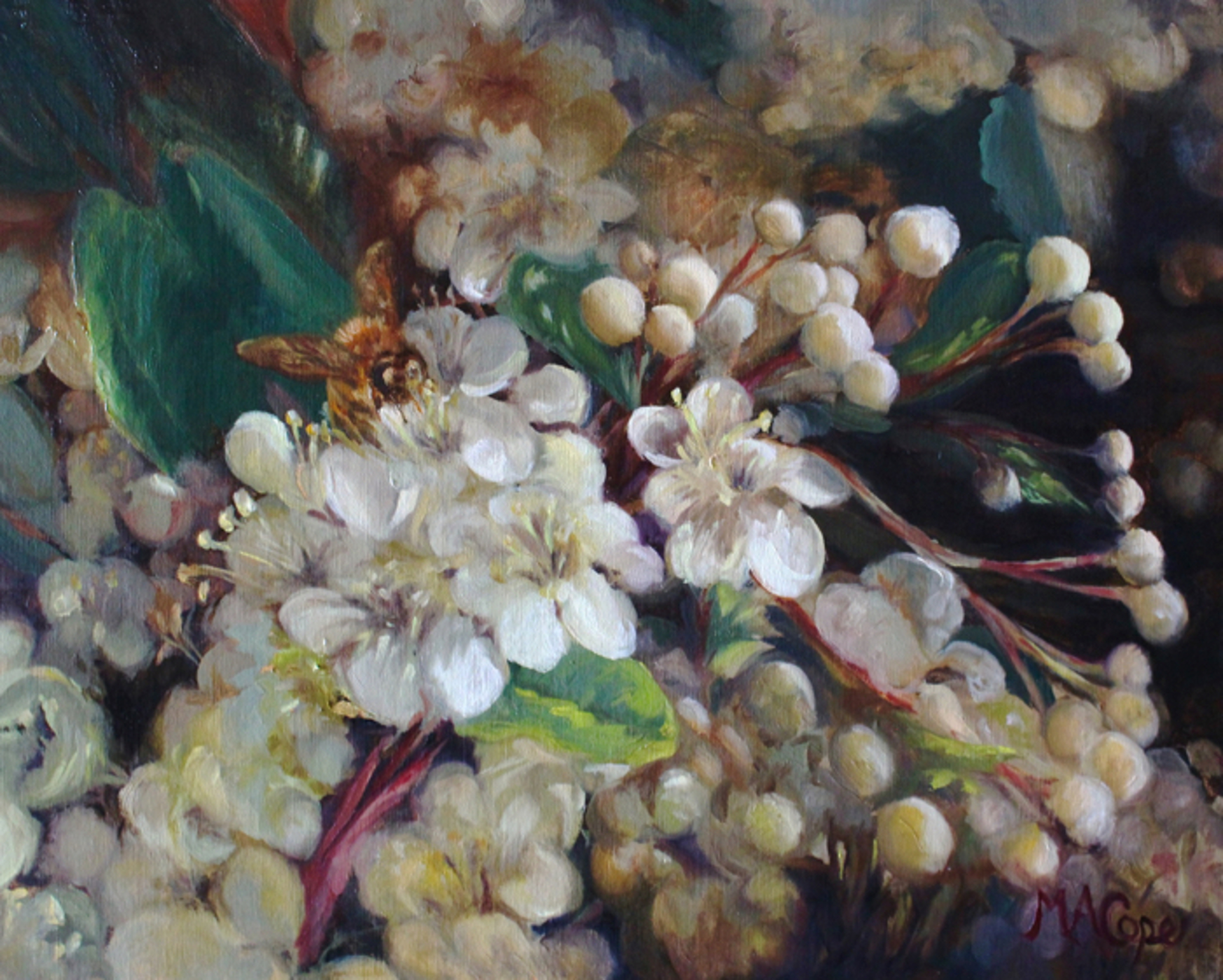 Honeybee by Mary Ann Cope