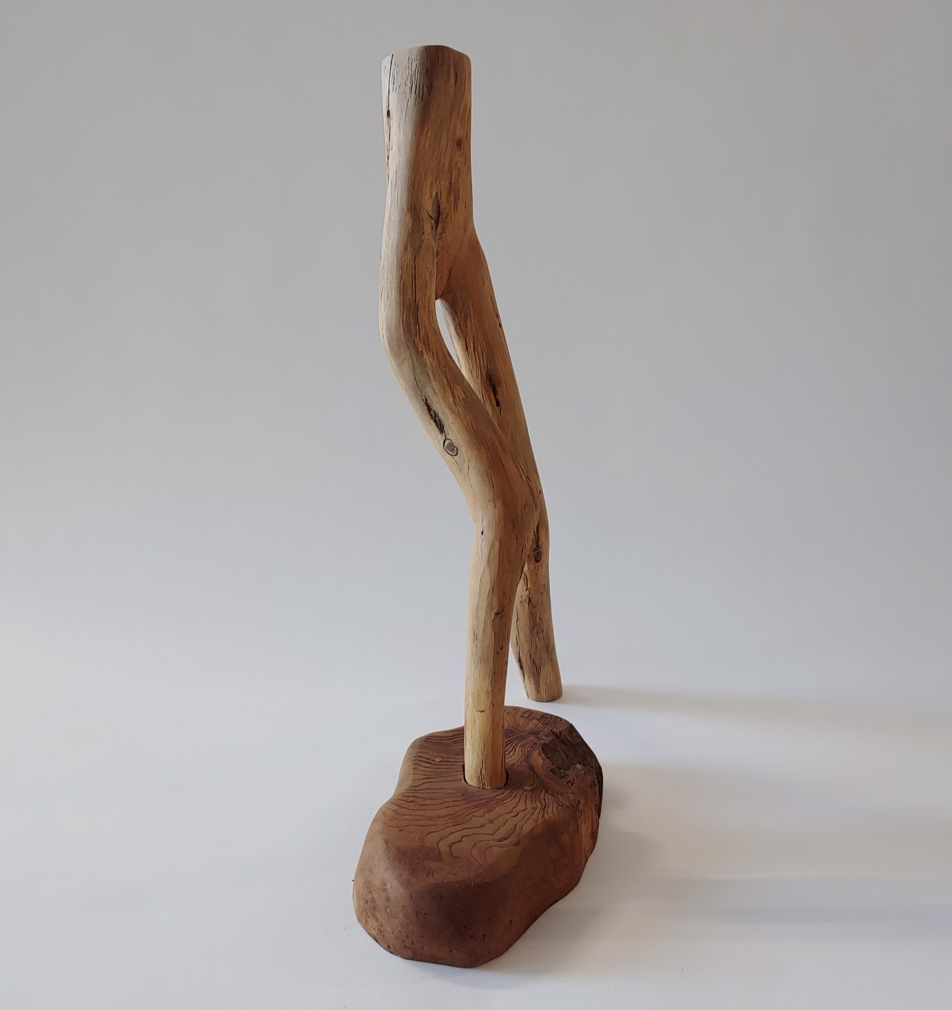 Legs- Wood Sculpture by David Amdur