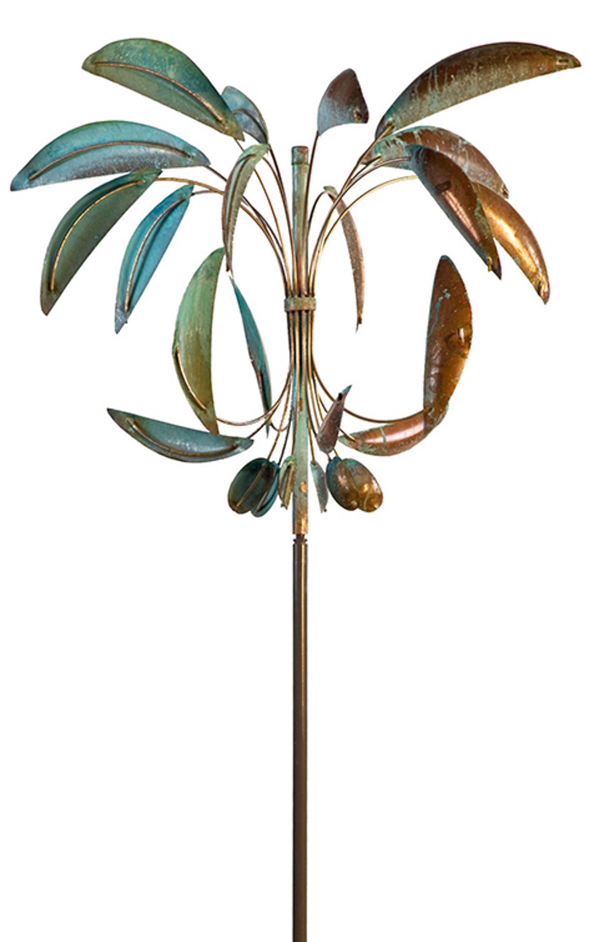 Desert Palm by Lyman Whitaker