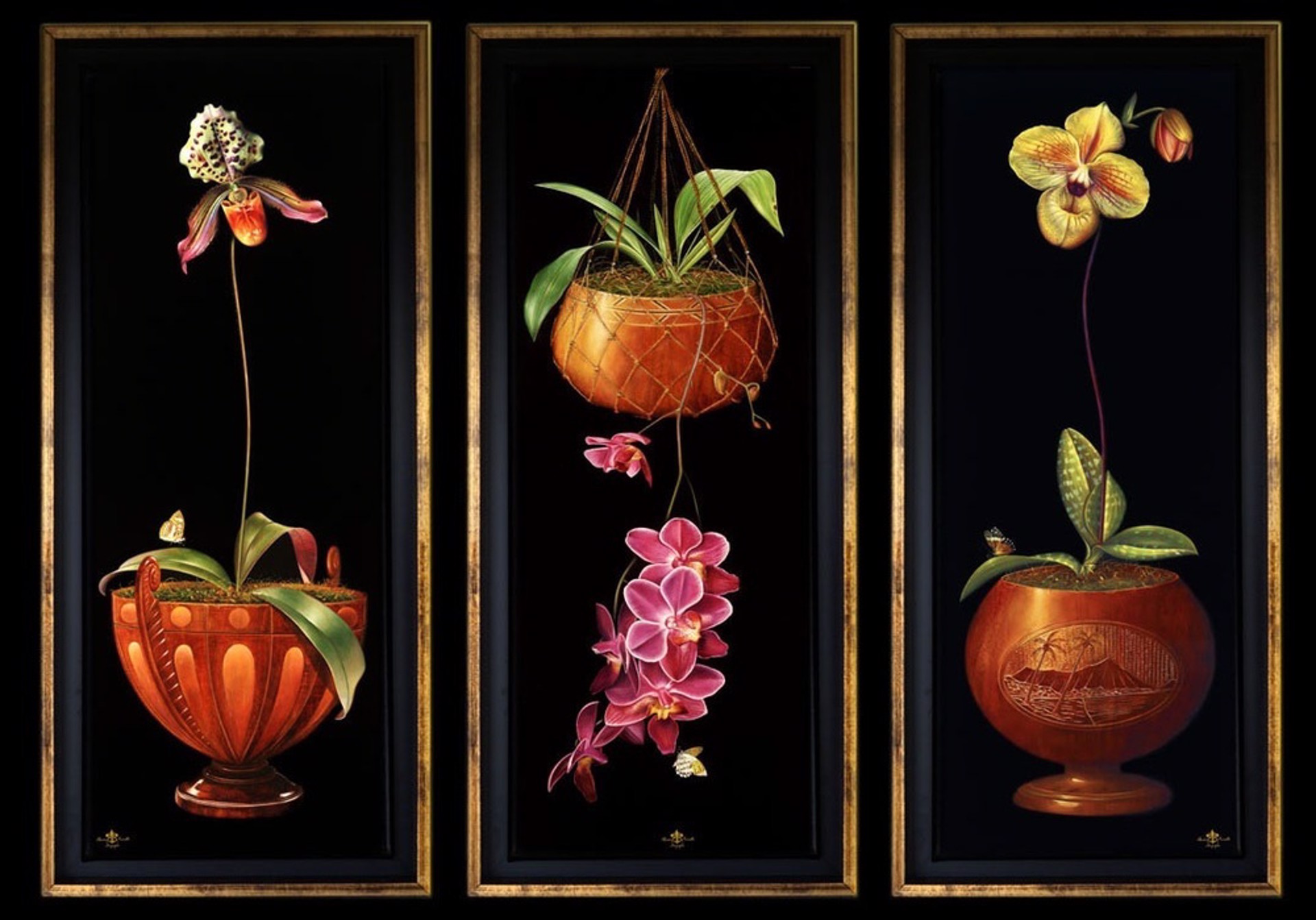 Orchid Symphony Triptych by The Twins