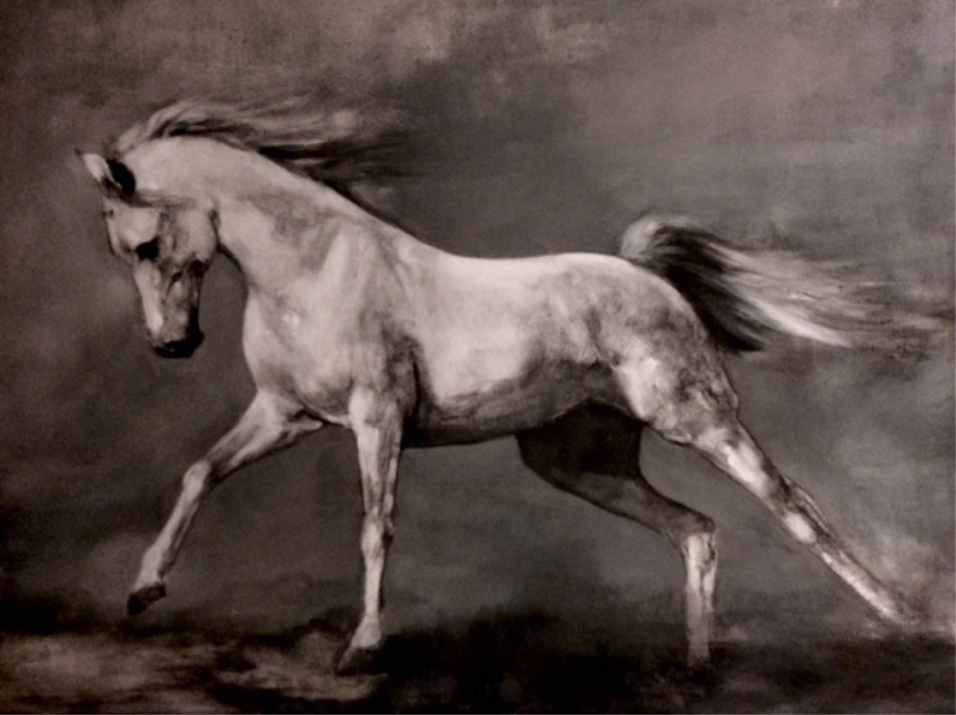 Stallion's Gait by Donna Hughes