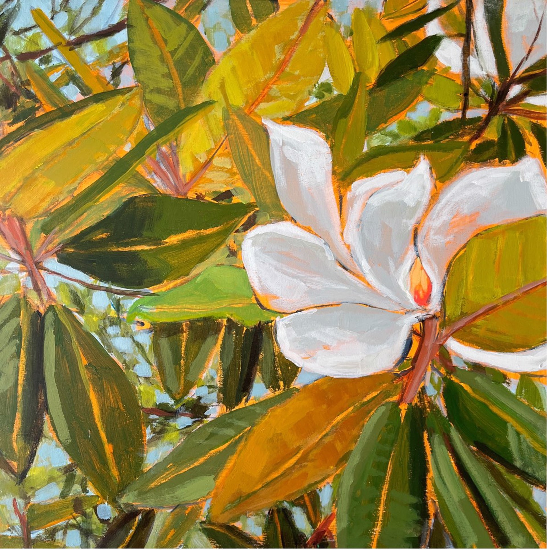 Magnolia Light Study no. 7 by Maggie Stickney