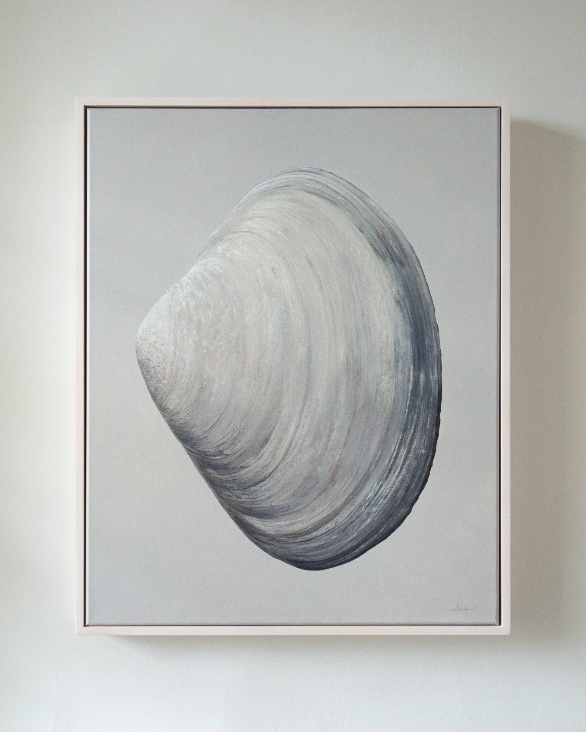 Outer Clam Shell by Sarah Verardo