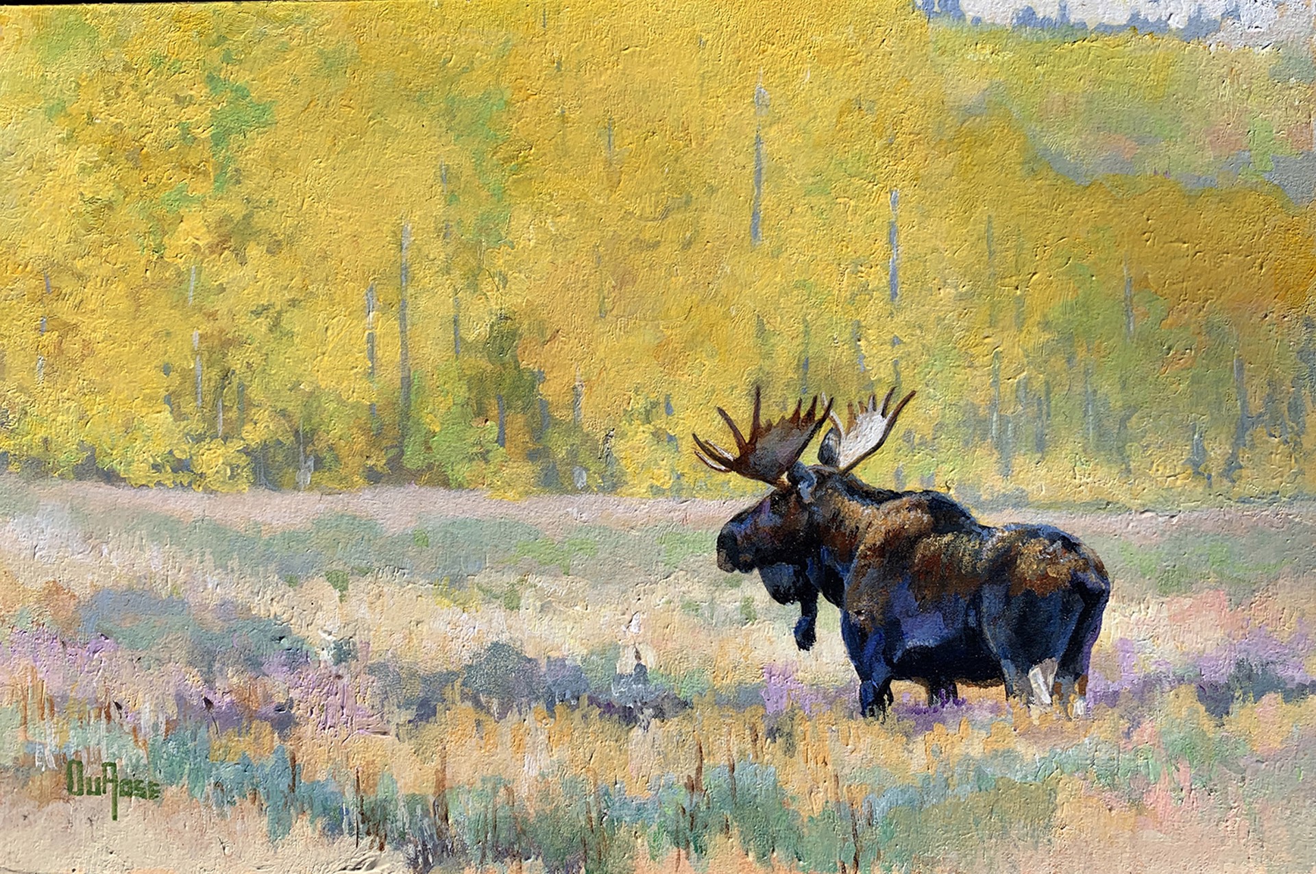 Aspens and Moose by Ed DuRose