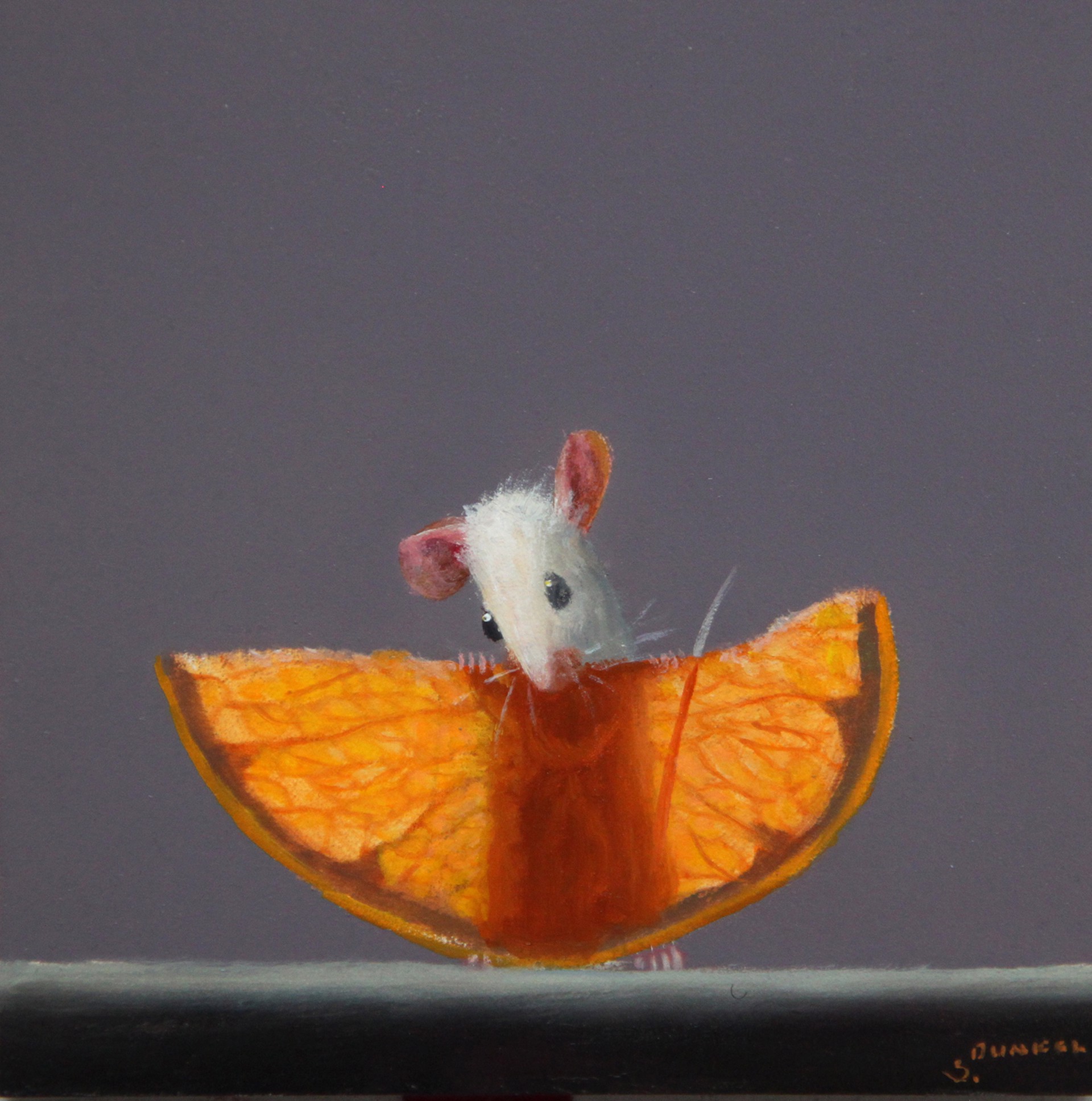 Orange Xray 20 by Stuart Dunkel