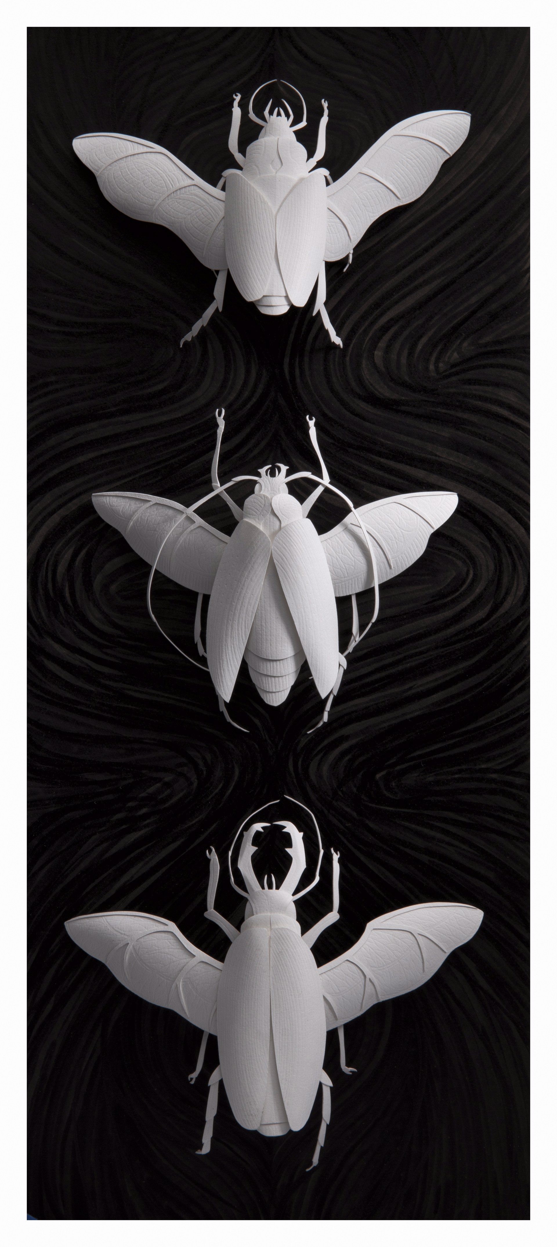 Coleoptera by Marisa Aragón Ware