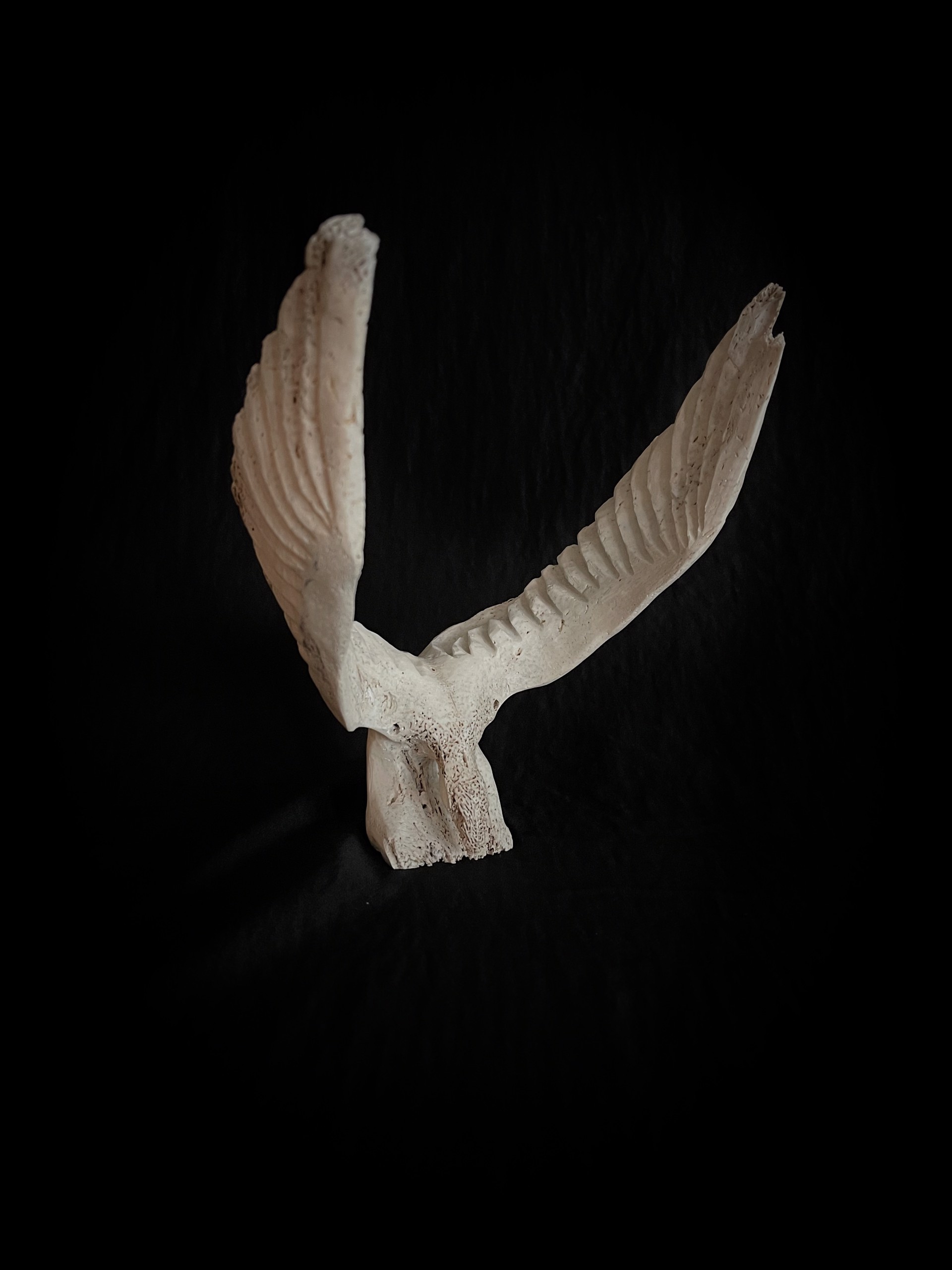 Bird Jawbone Sculpture by Leo Angotignuar