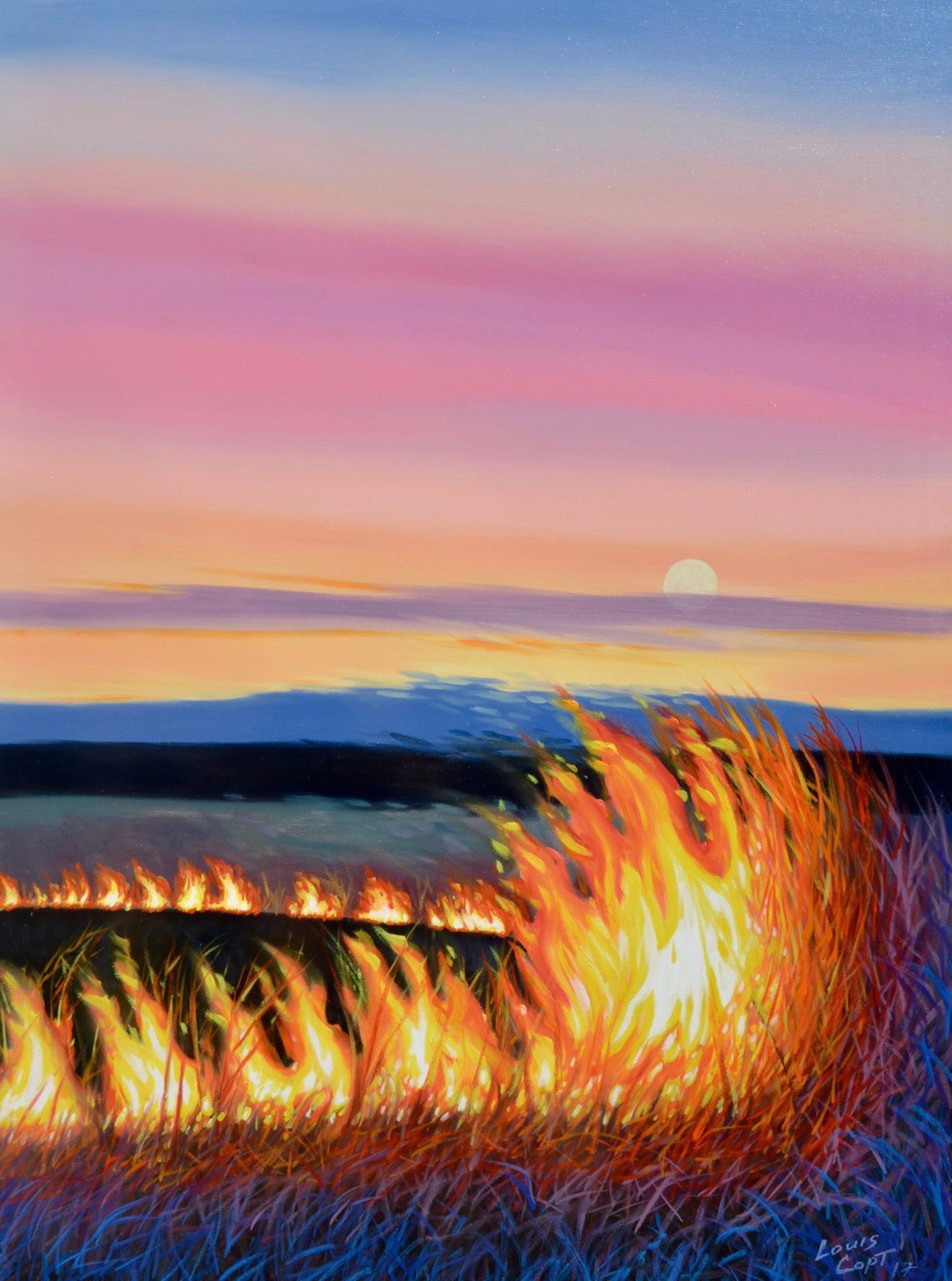 Bluestem Flames by Louis Copt