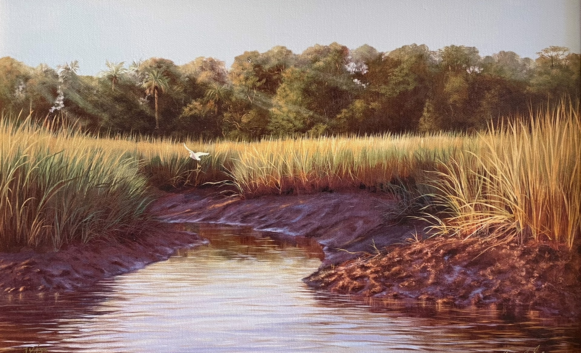 Follow that Egret by Douglas Grier -- Giclee Prints