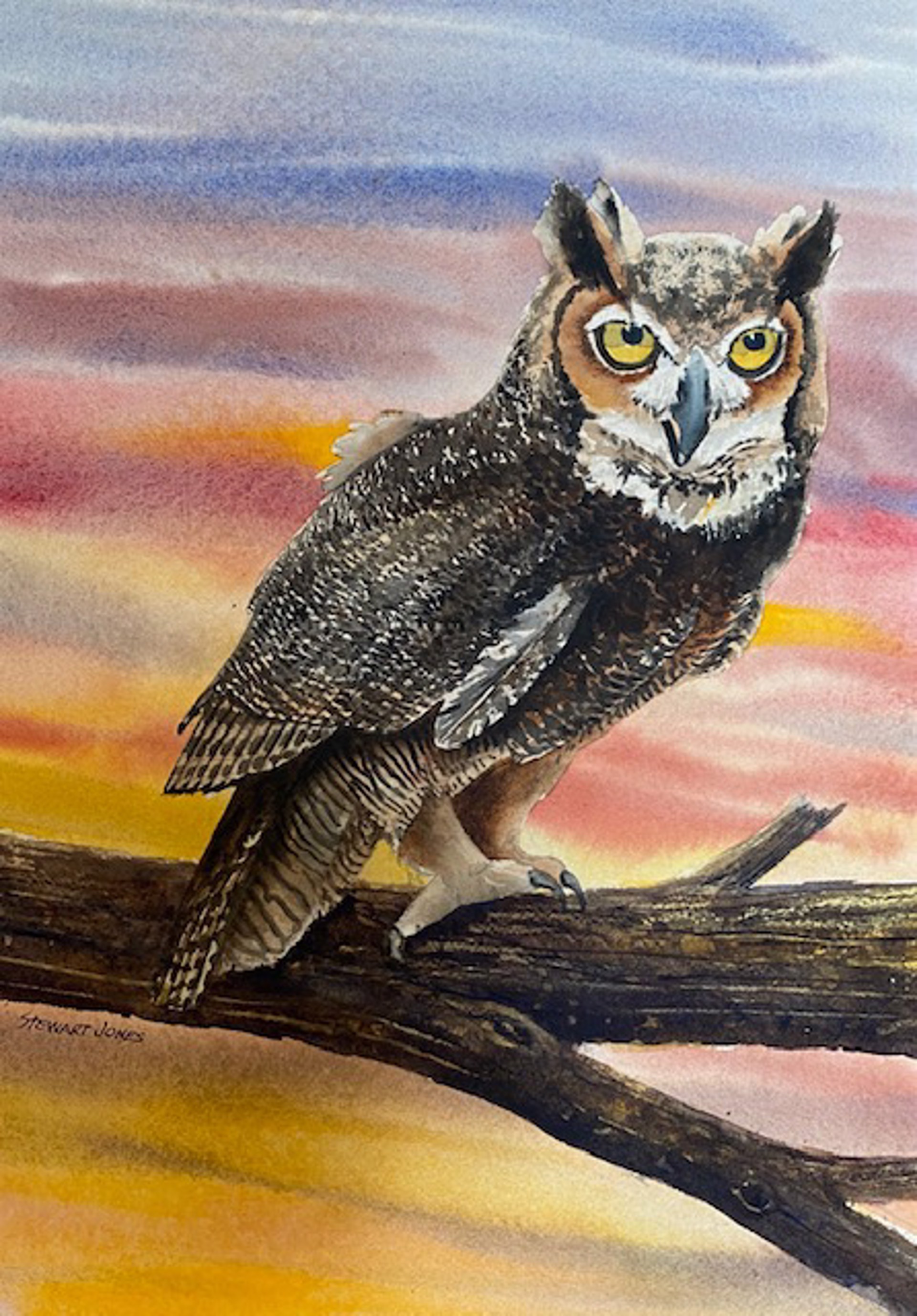 Great Horned Owl by Stewart Jones