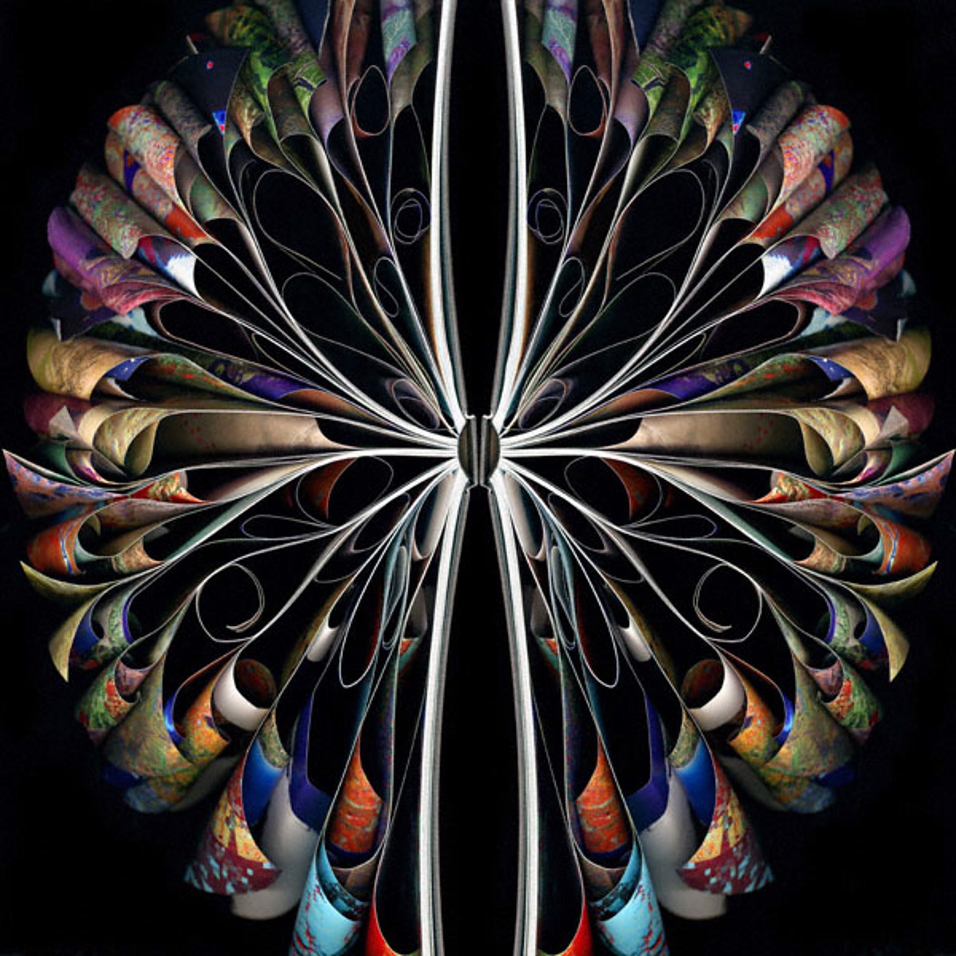 Kaleidoscope by Cara Barer