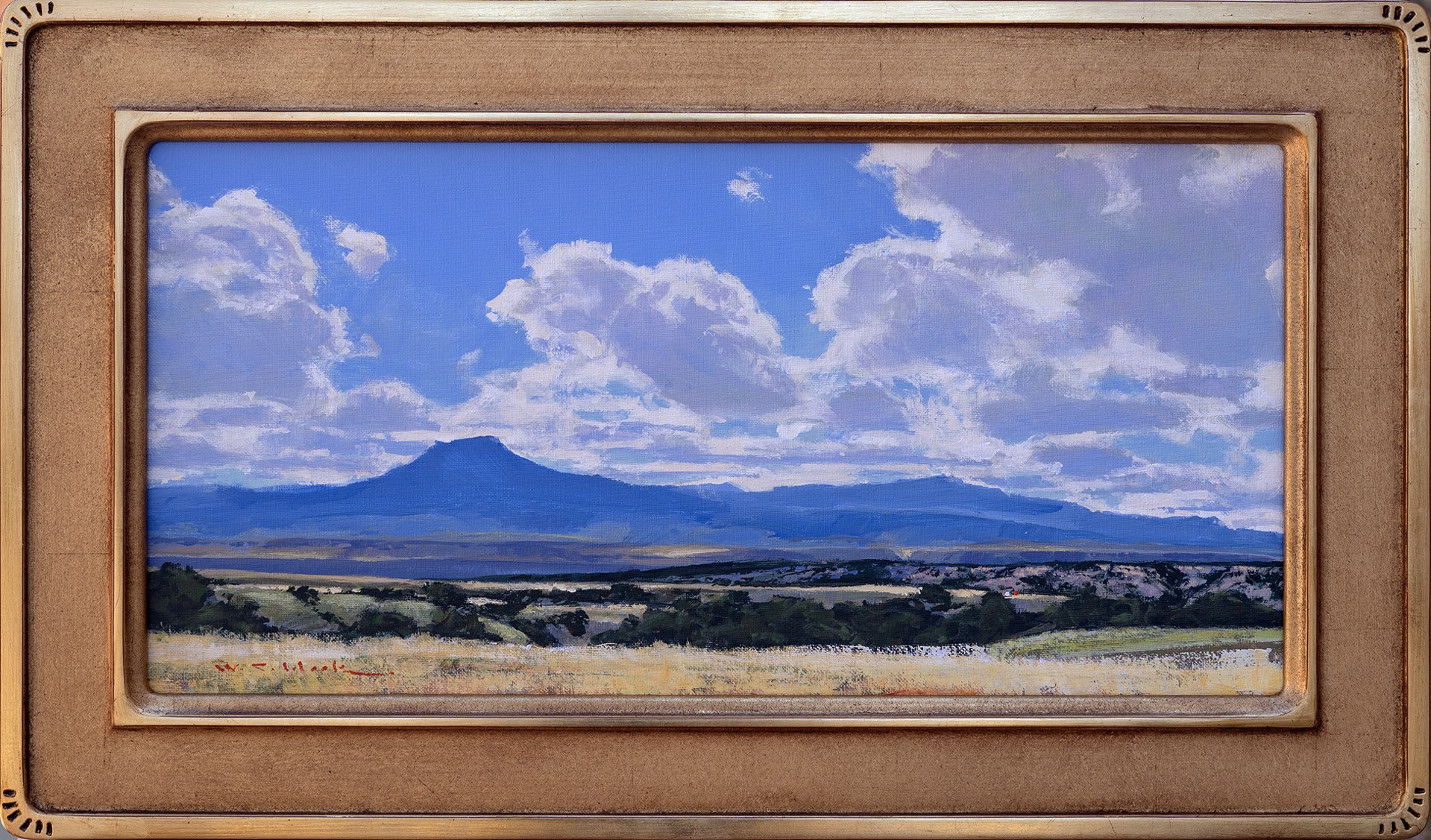 El Pedernal Vista by William C. Hook