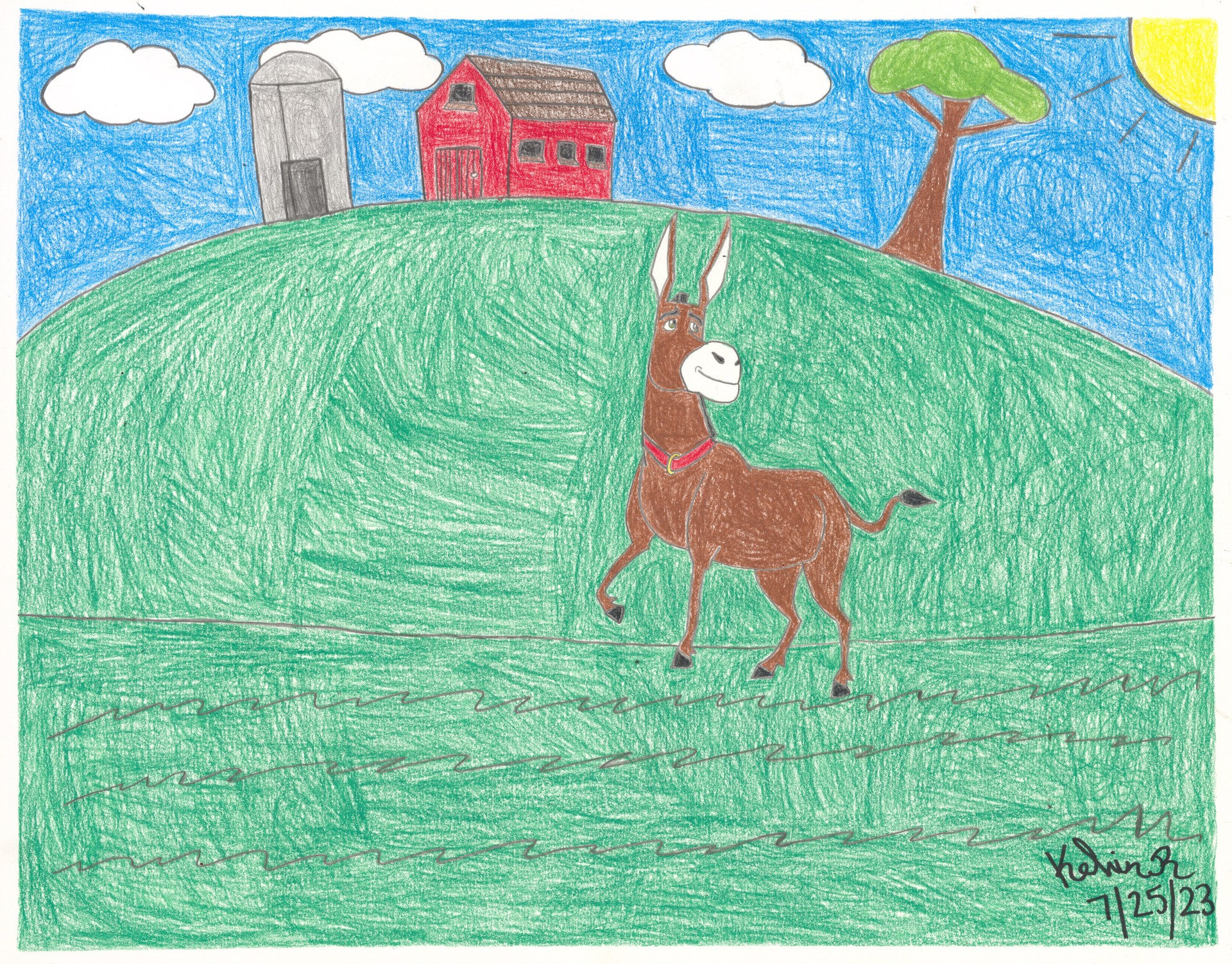 The Adventures of Jack the Donkey by Kelvin Richardson