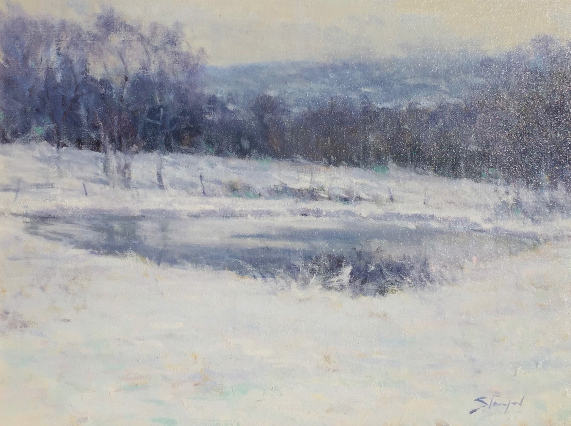 Snow I by John Stanford