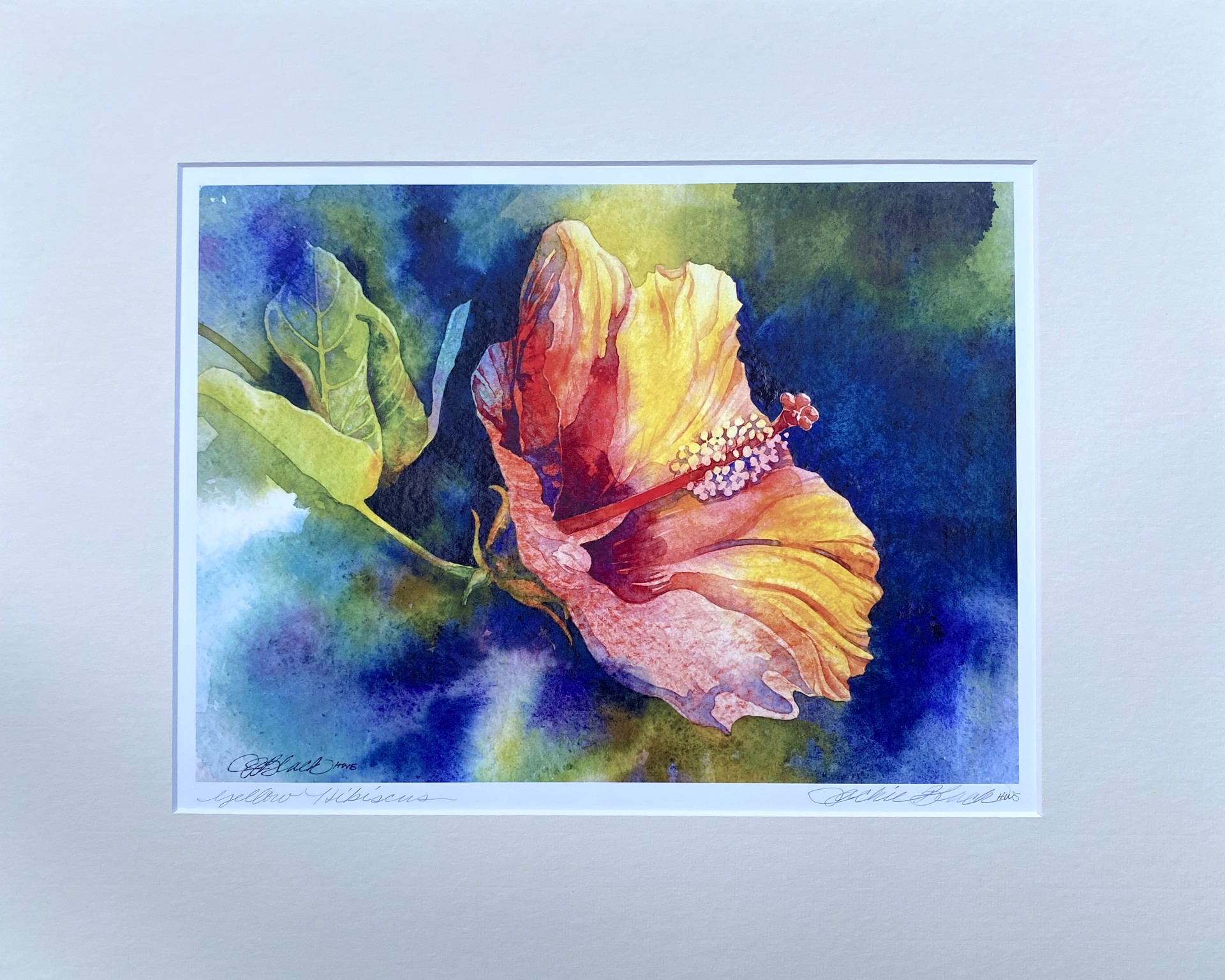Yellow Hibiscus by Jackie Black