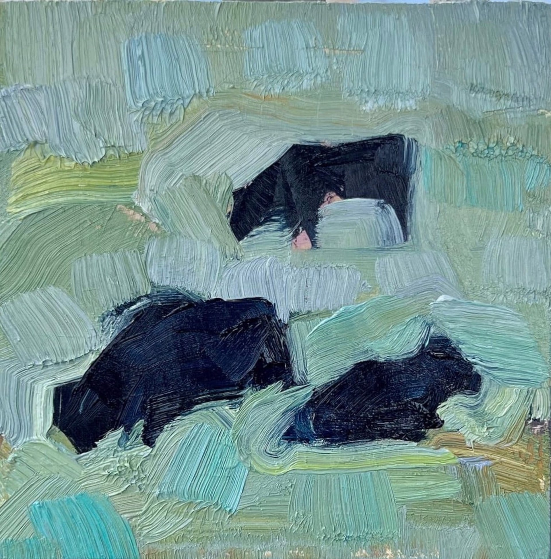 3 COWS by Amber Blazina
