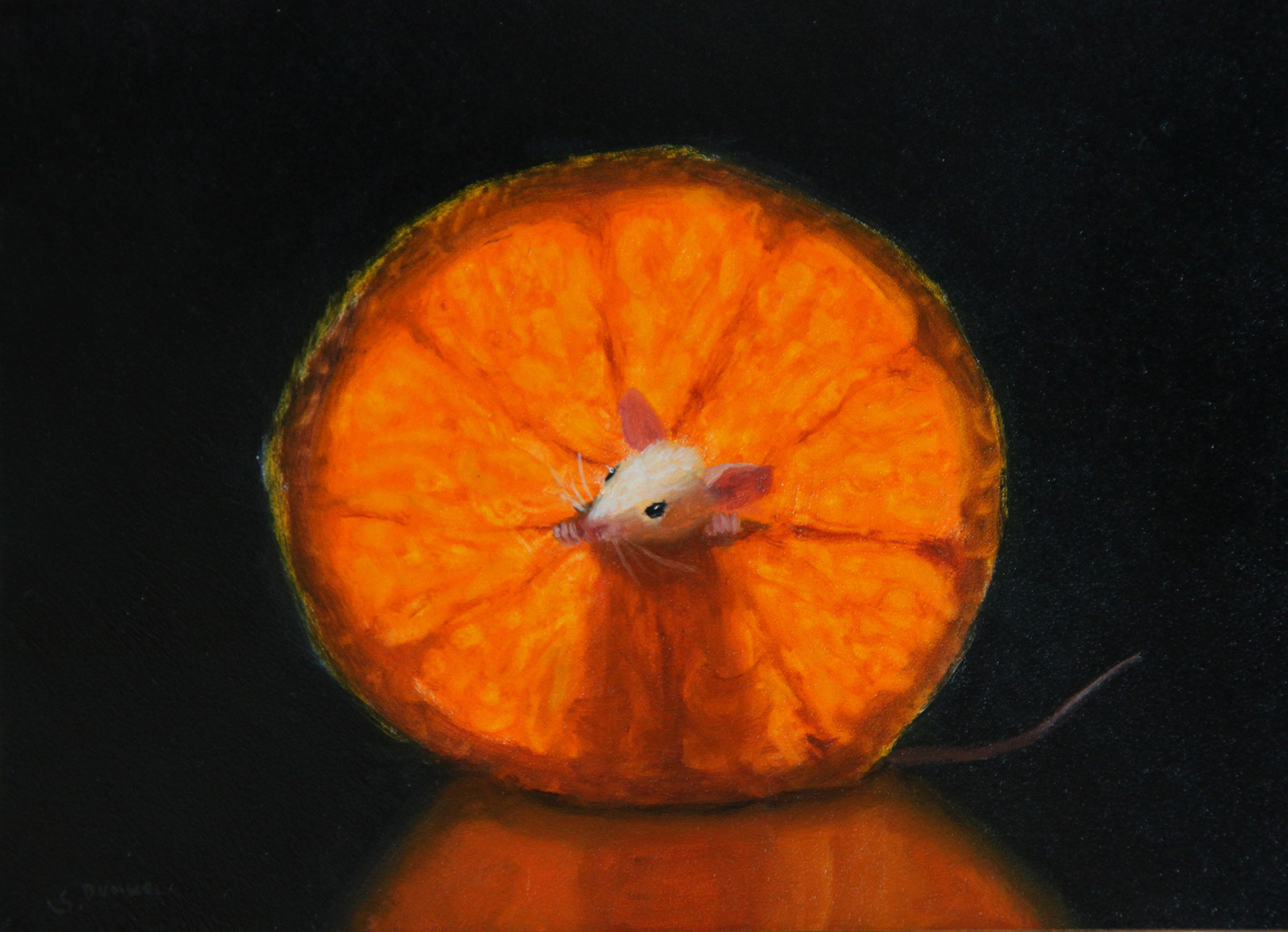 View from an Orange by Stuart Dunkel