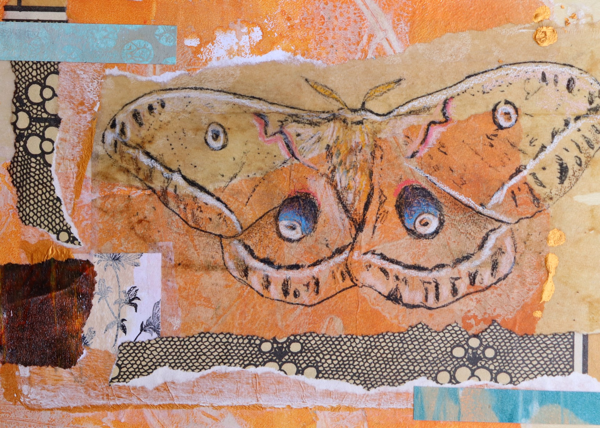 Polyphemus Moth by Shannon Deana Johnson