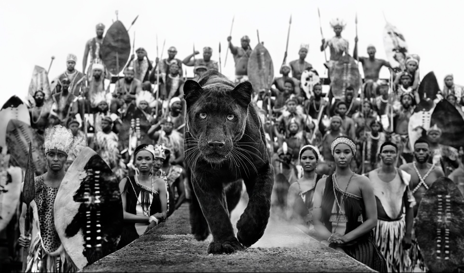I Am Black Panther by David Yarrow